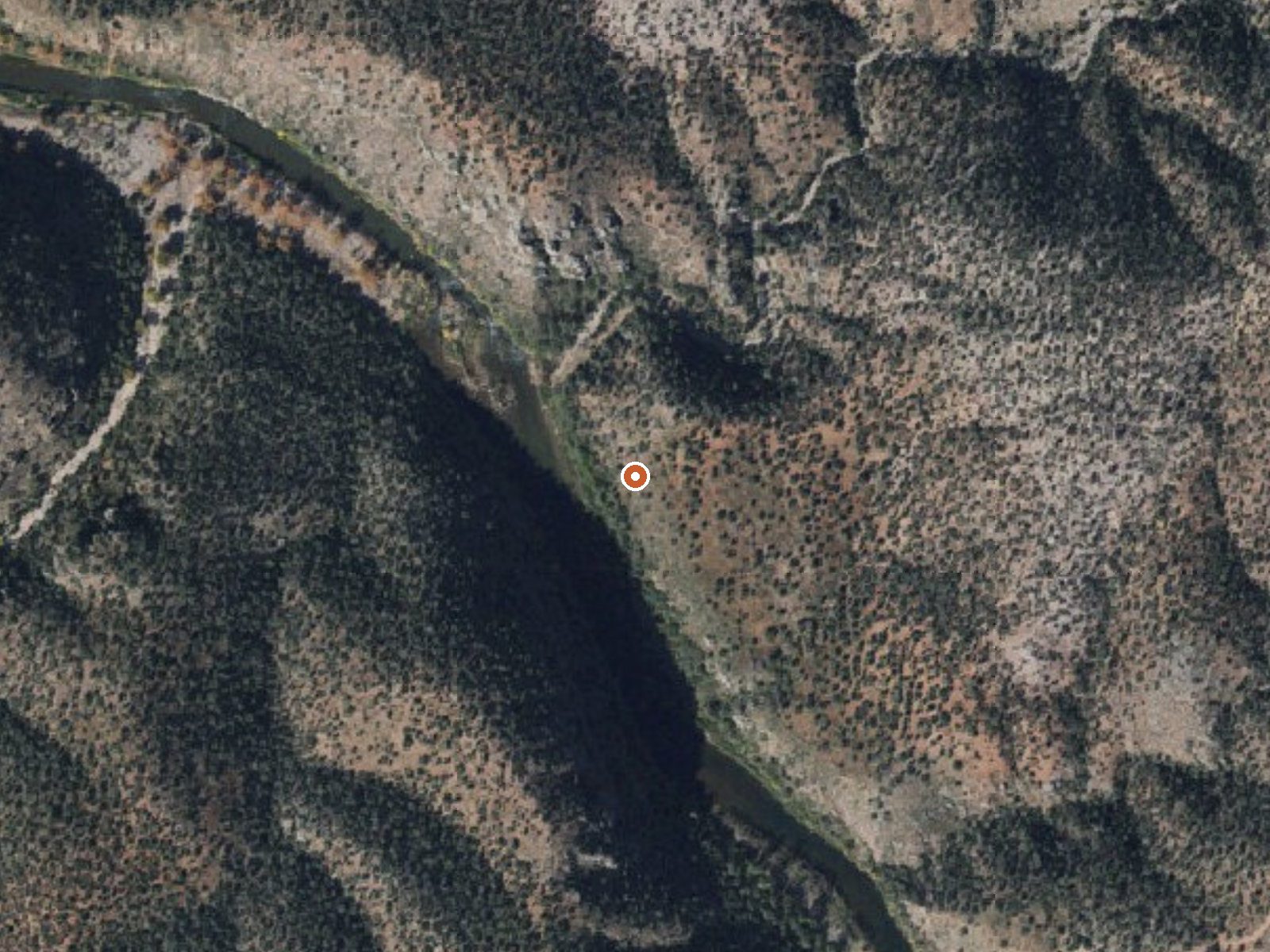 Aerial view of the ground around the spring