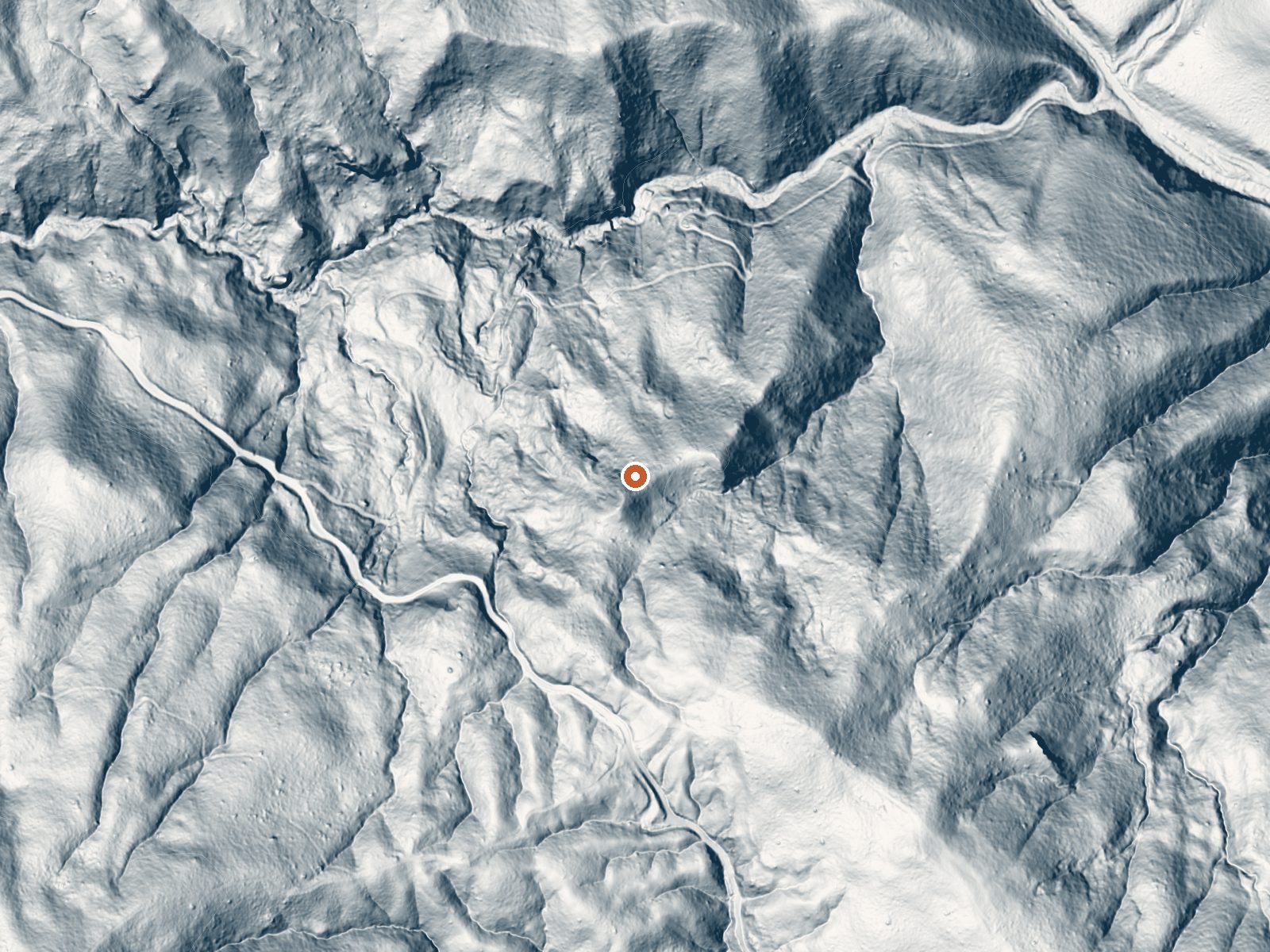 LiDAR bare-earth view of the same ground around Newman Springs
