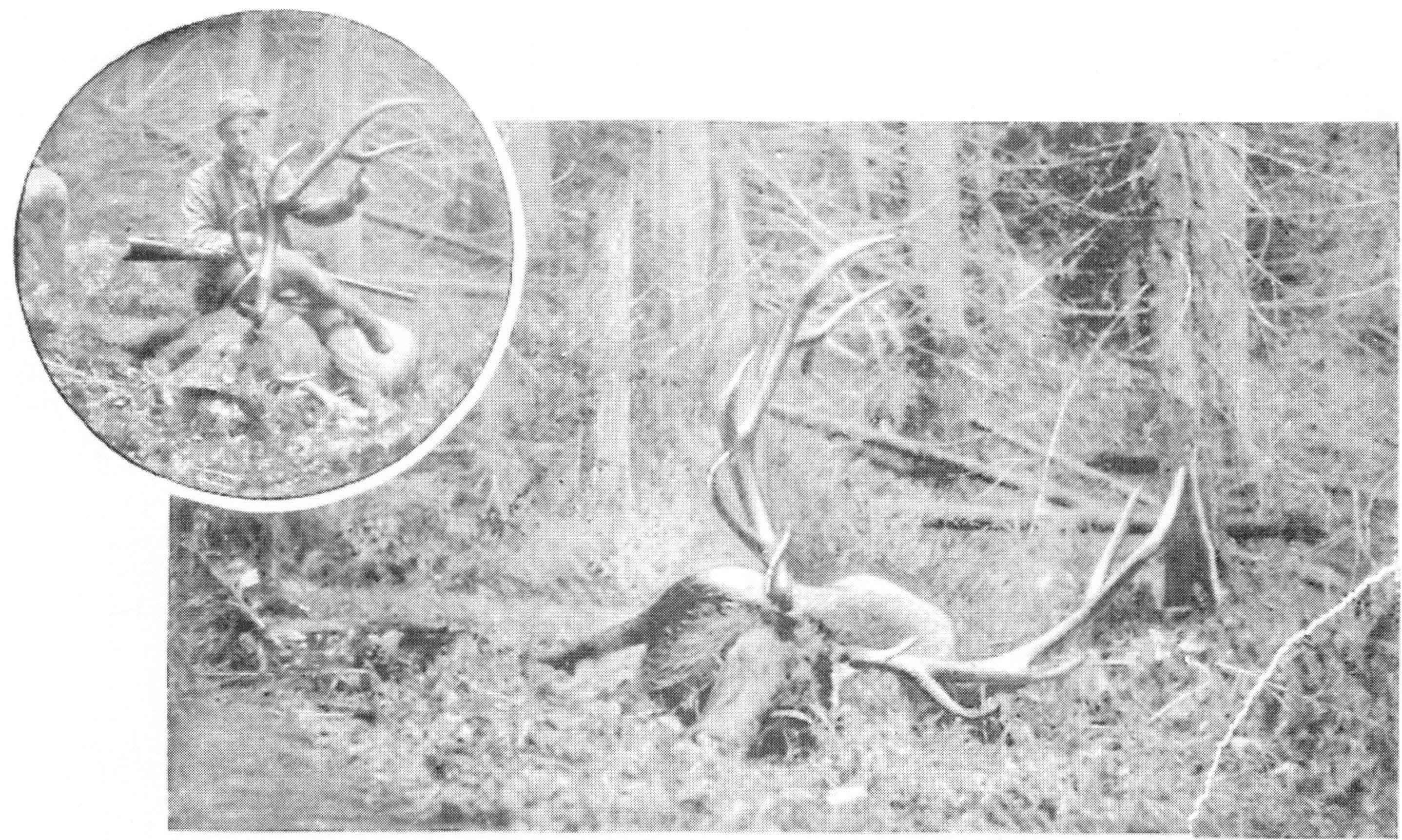 Jerry Johnson Hot Springs