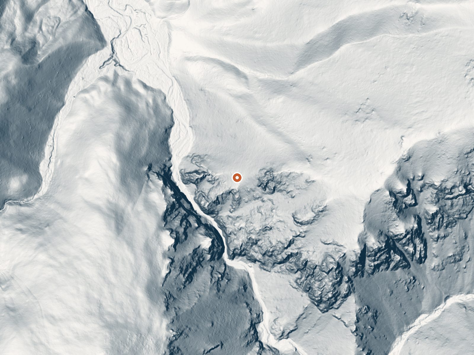 LiDAR bare-earth view of the same ground around Shower Bath Springs