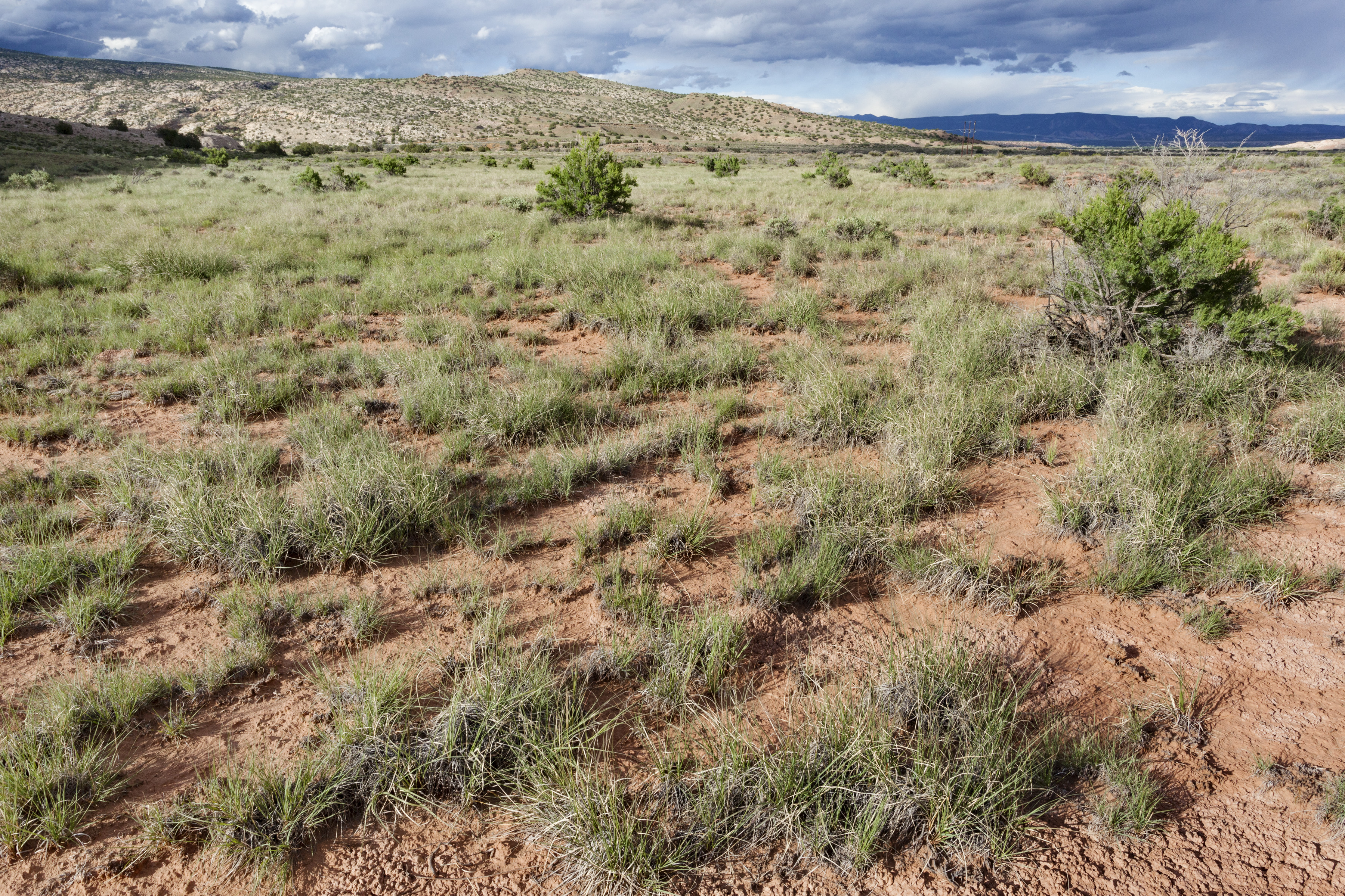 San Ysidro Hot Springs