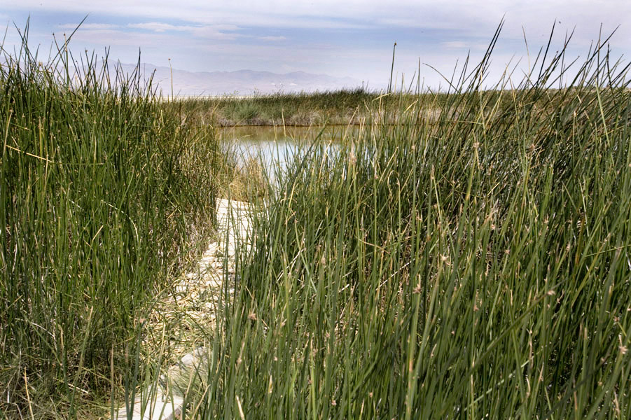 Black Rock Hot Spring