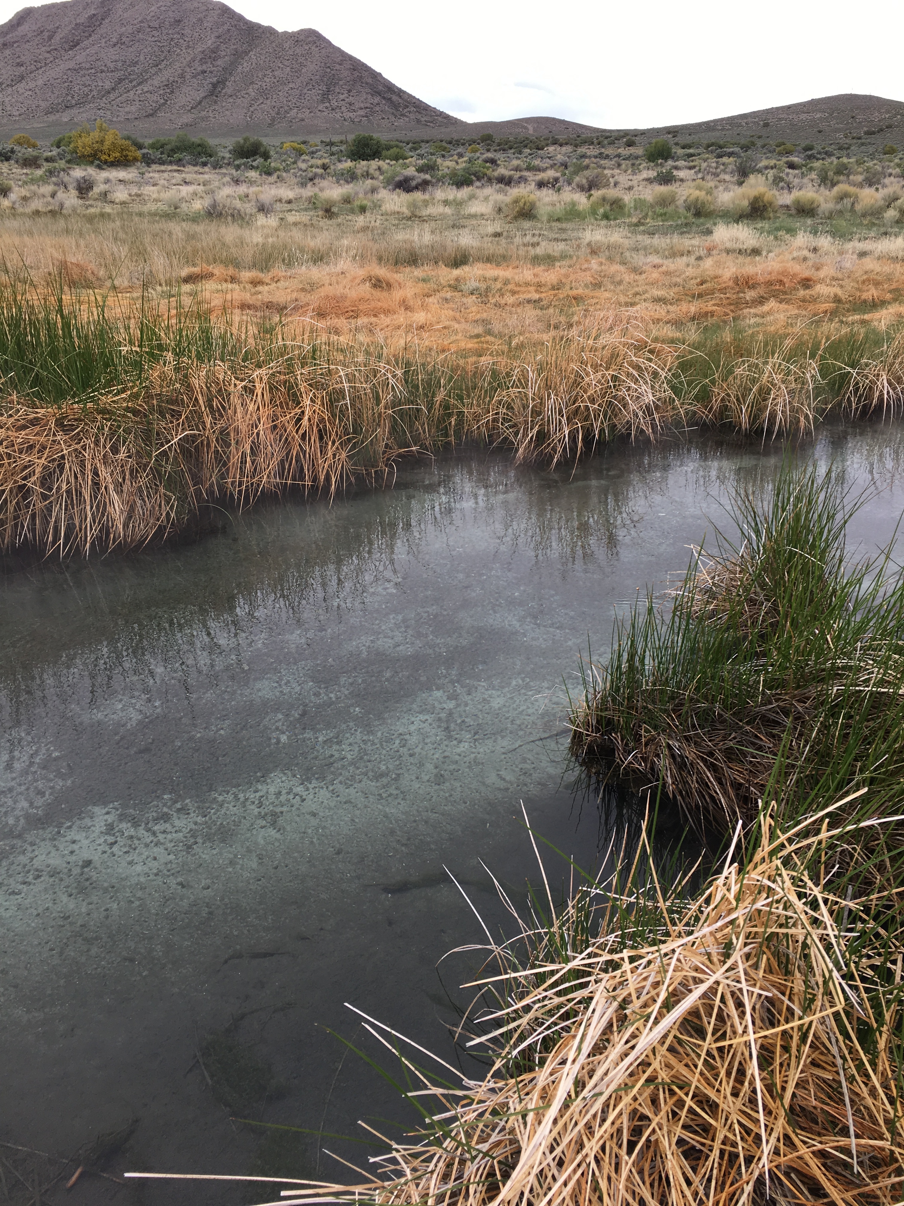 Hot Creek Ranch Spring