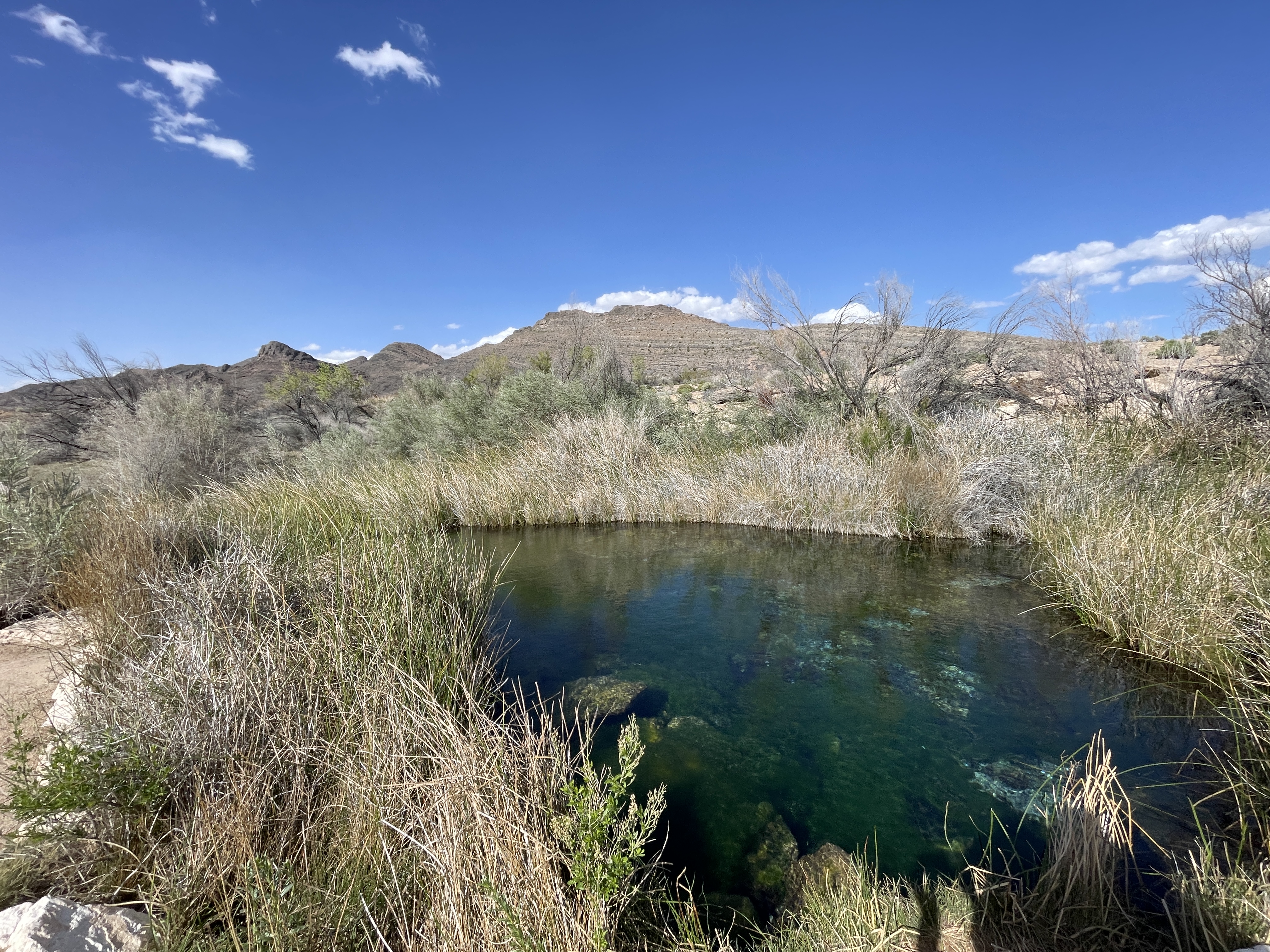 Point Of Rocks Springs, King Spring