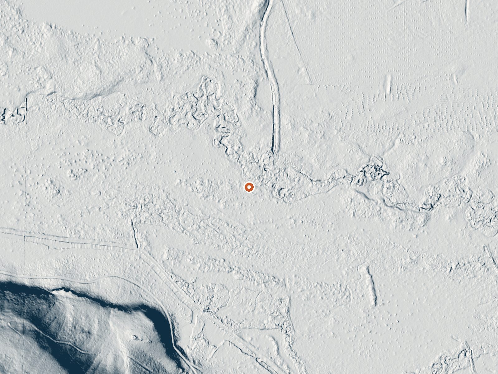 LiDAR bare-earth view of the same ground around Basque Spring