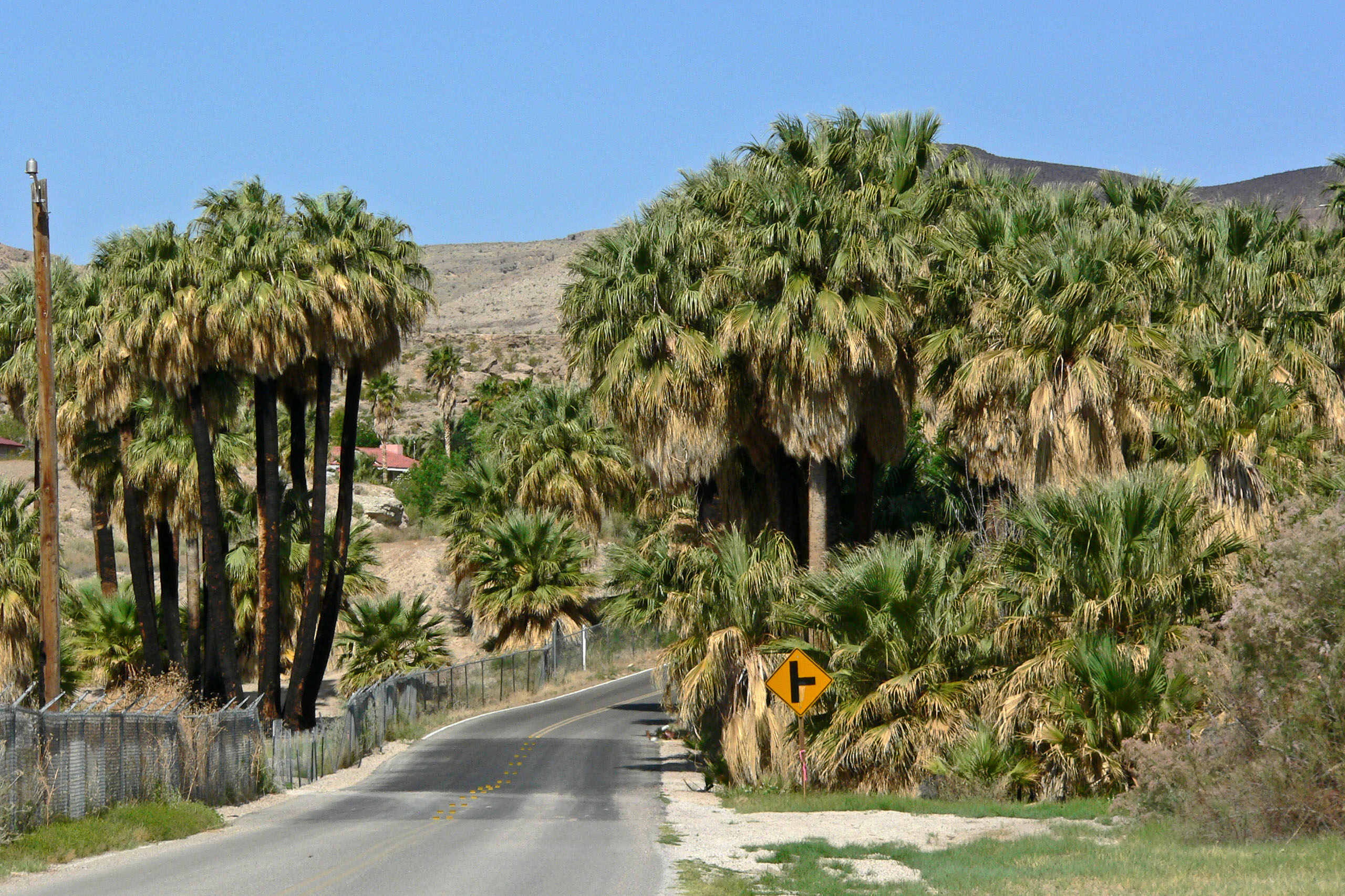 Moapa Warm Springs