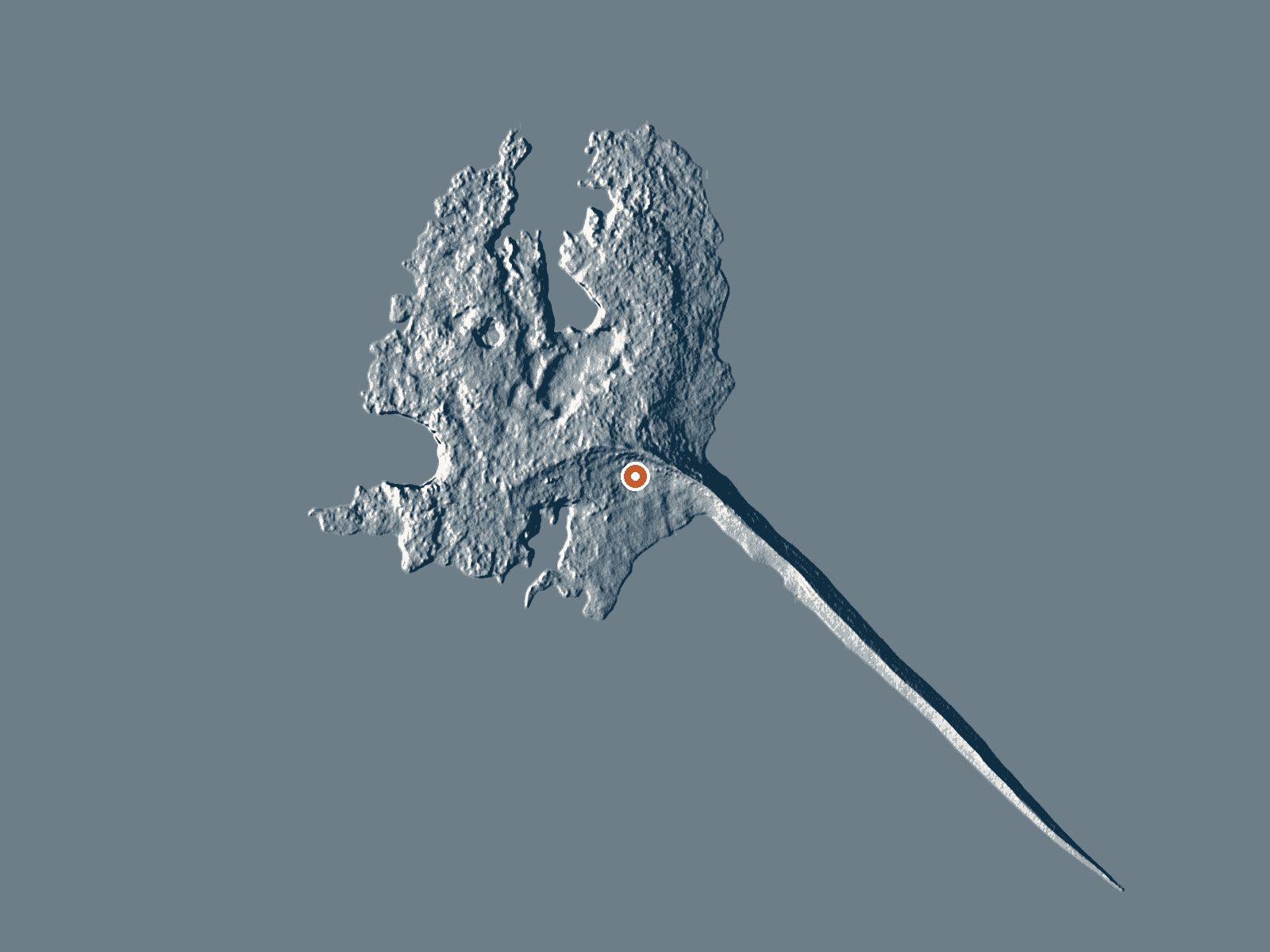 LiDAR bare-earth view of the same ground around Bird Island