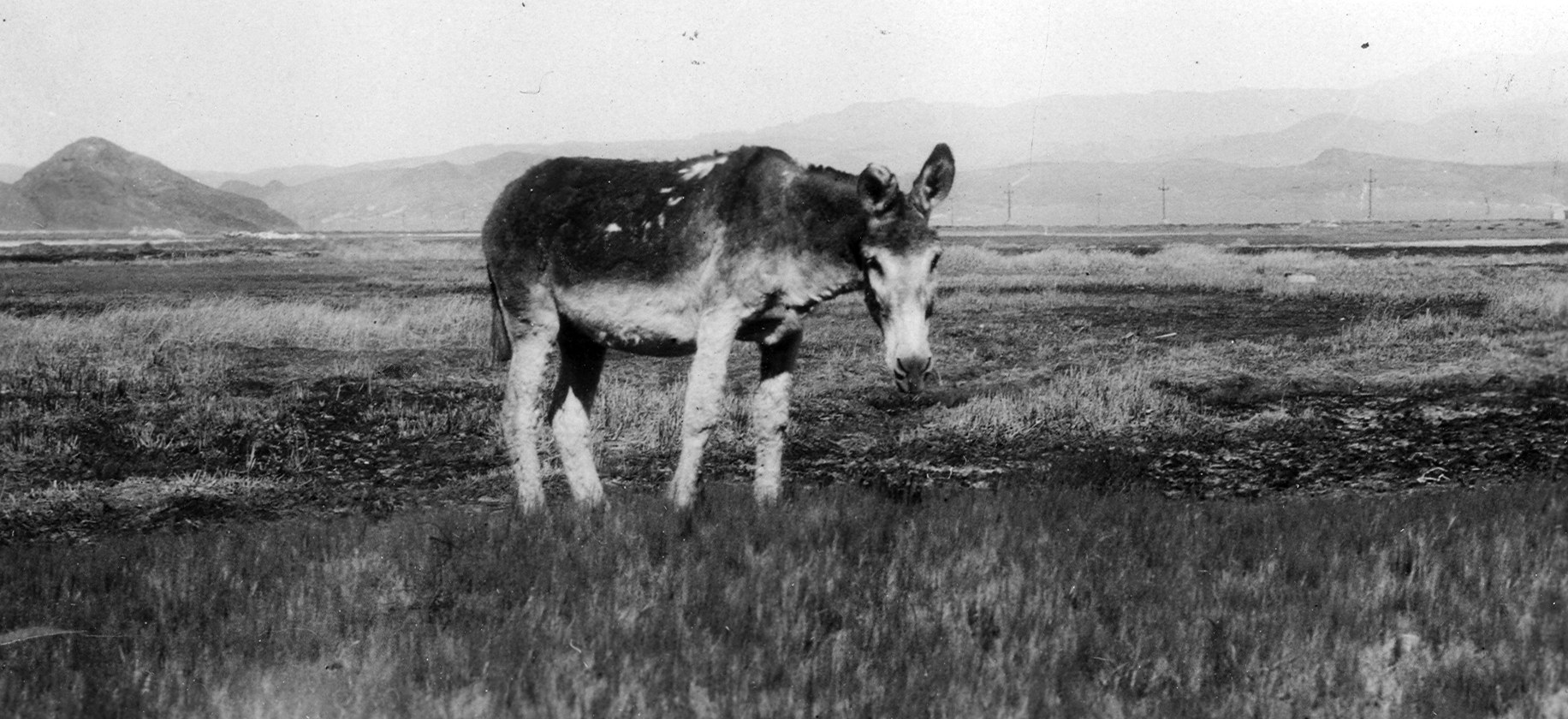 Silverpeak Hot Spring