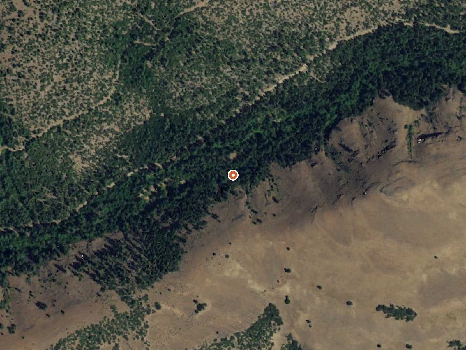 Aerial view of the ground around Simcoe Soda Springs