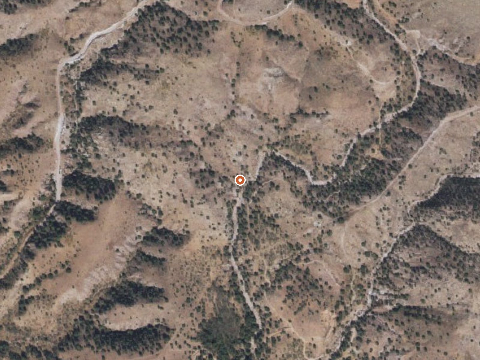 Aerial view of the ground around Monkey Spring