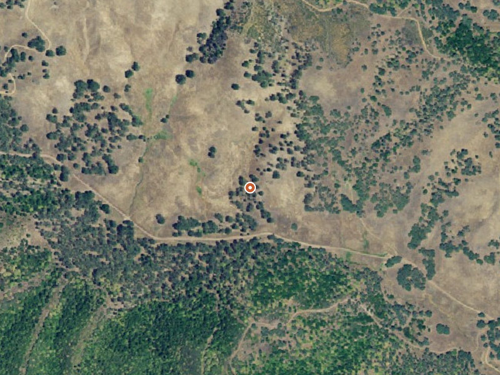 Aerial view of the ground around Davis Soda Spring