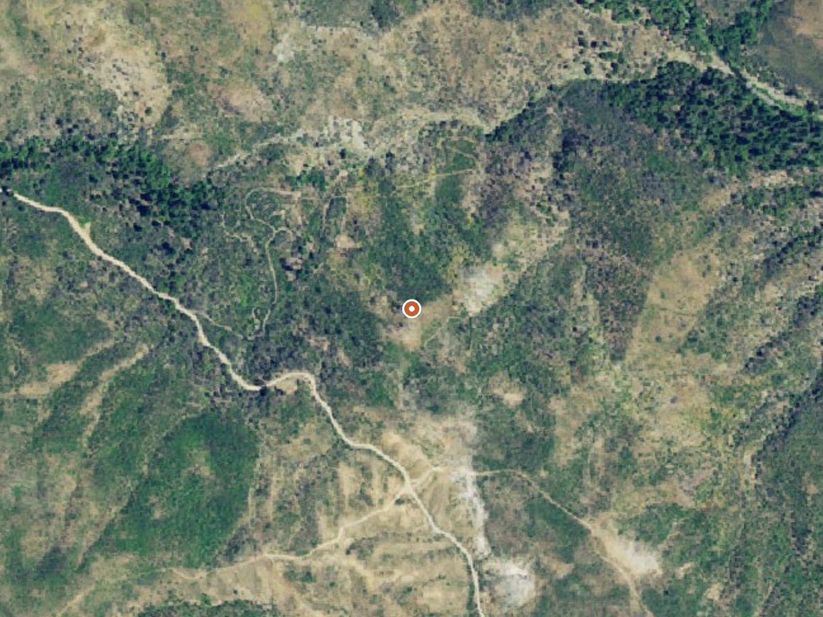 Aerial view of the ground around Newman Springs