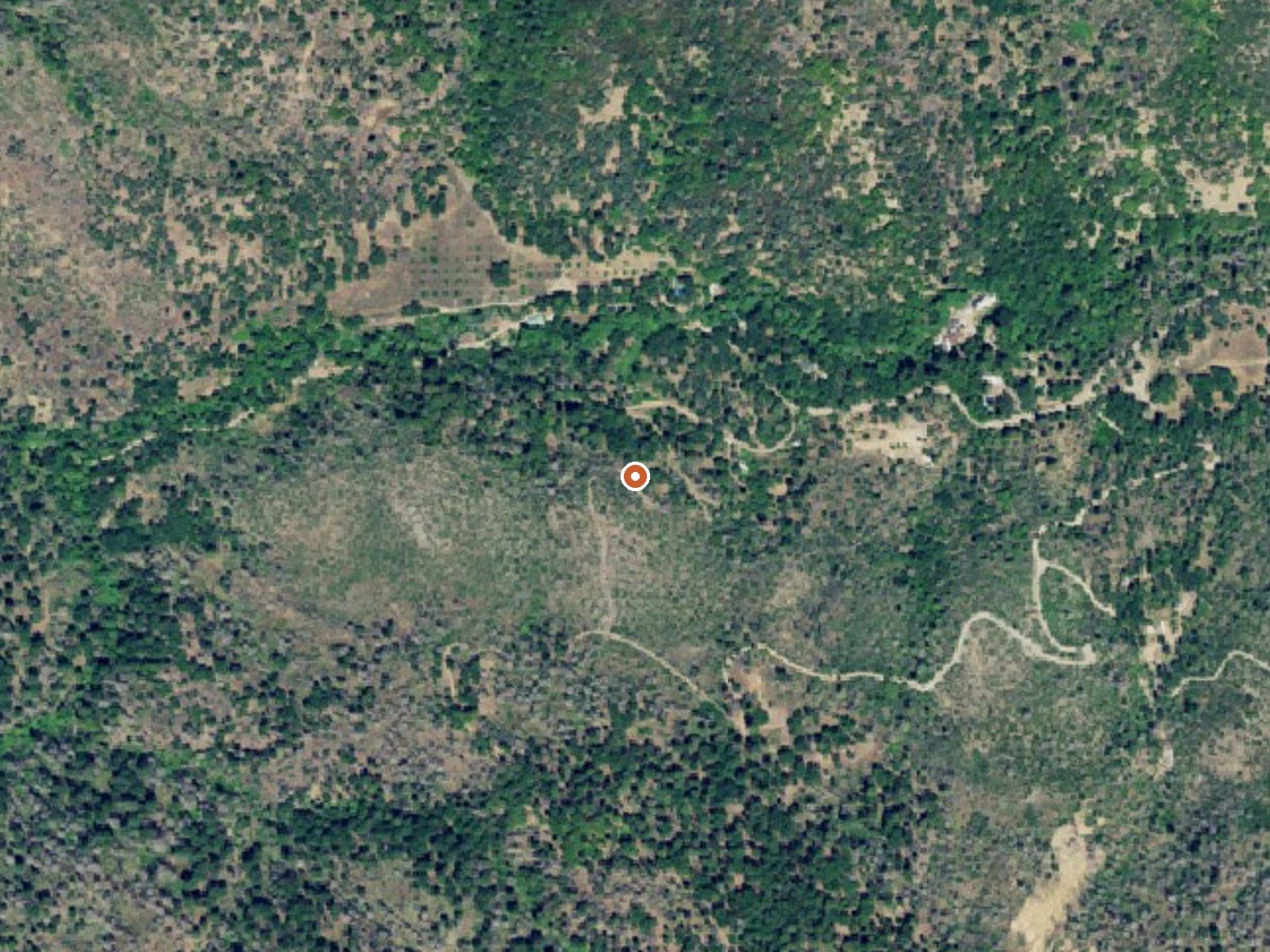 Aerial view of the ground around Pine Cone Spring