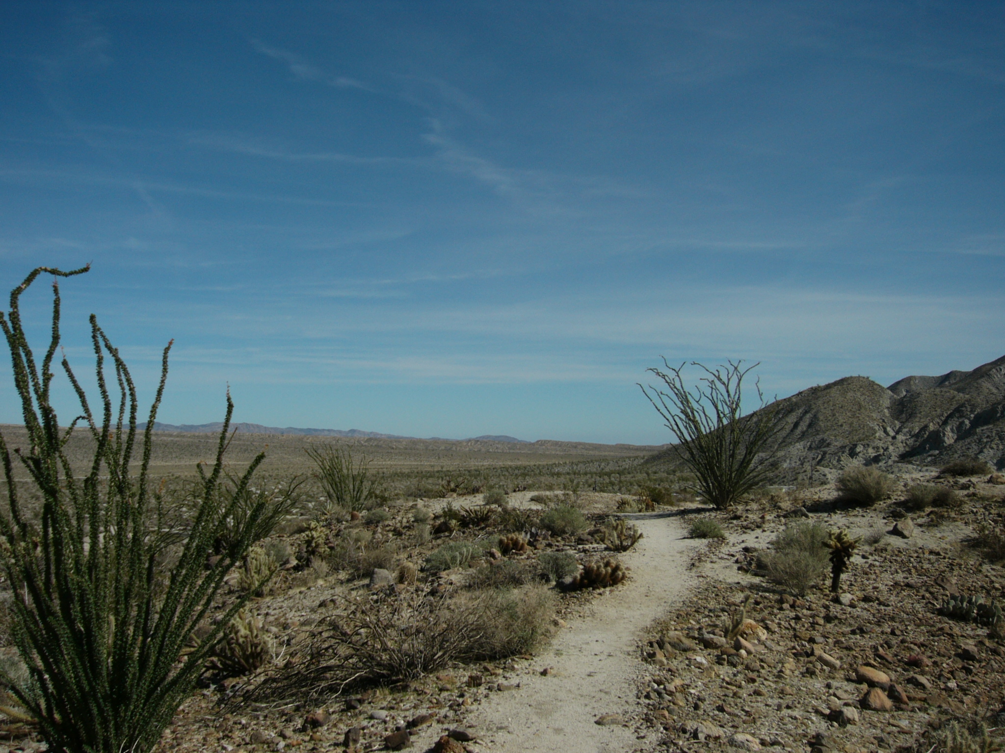 Agua Caliente Springs
