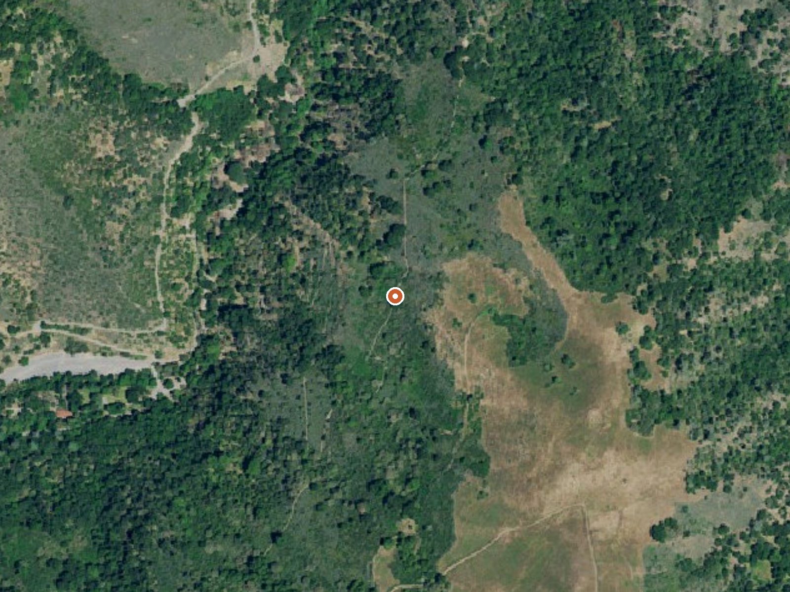 Aerial view of the ground around Mineral Springs