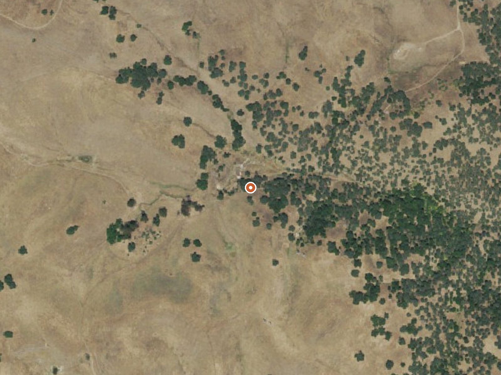 Aerial view of the ground around Tolenas Springs