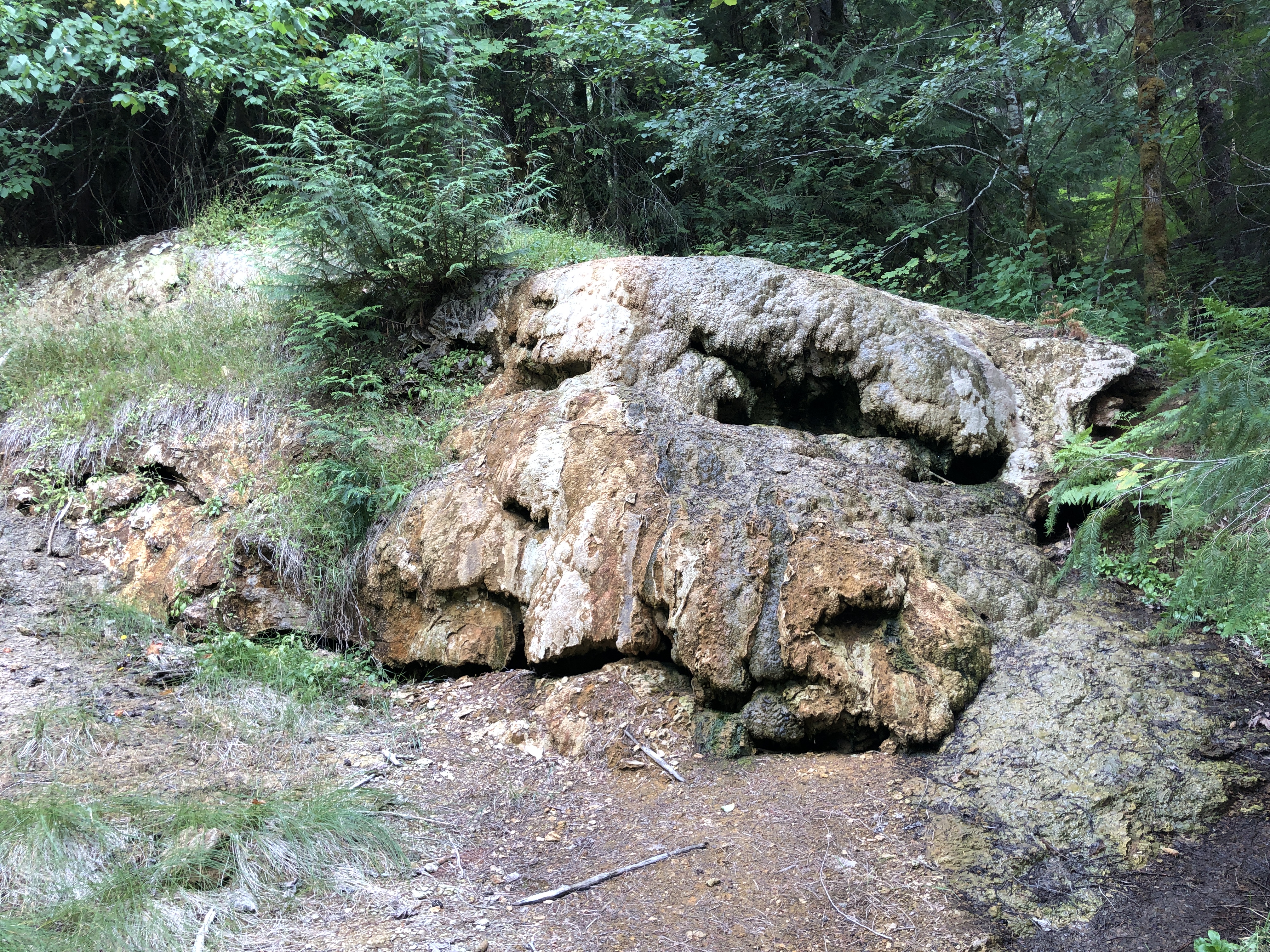 Ohanapecosh Hot Springs