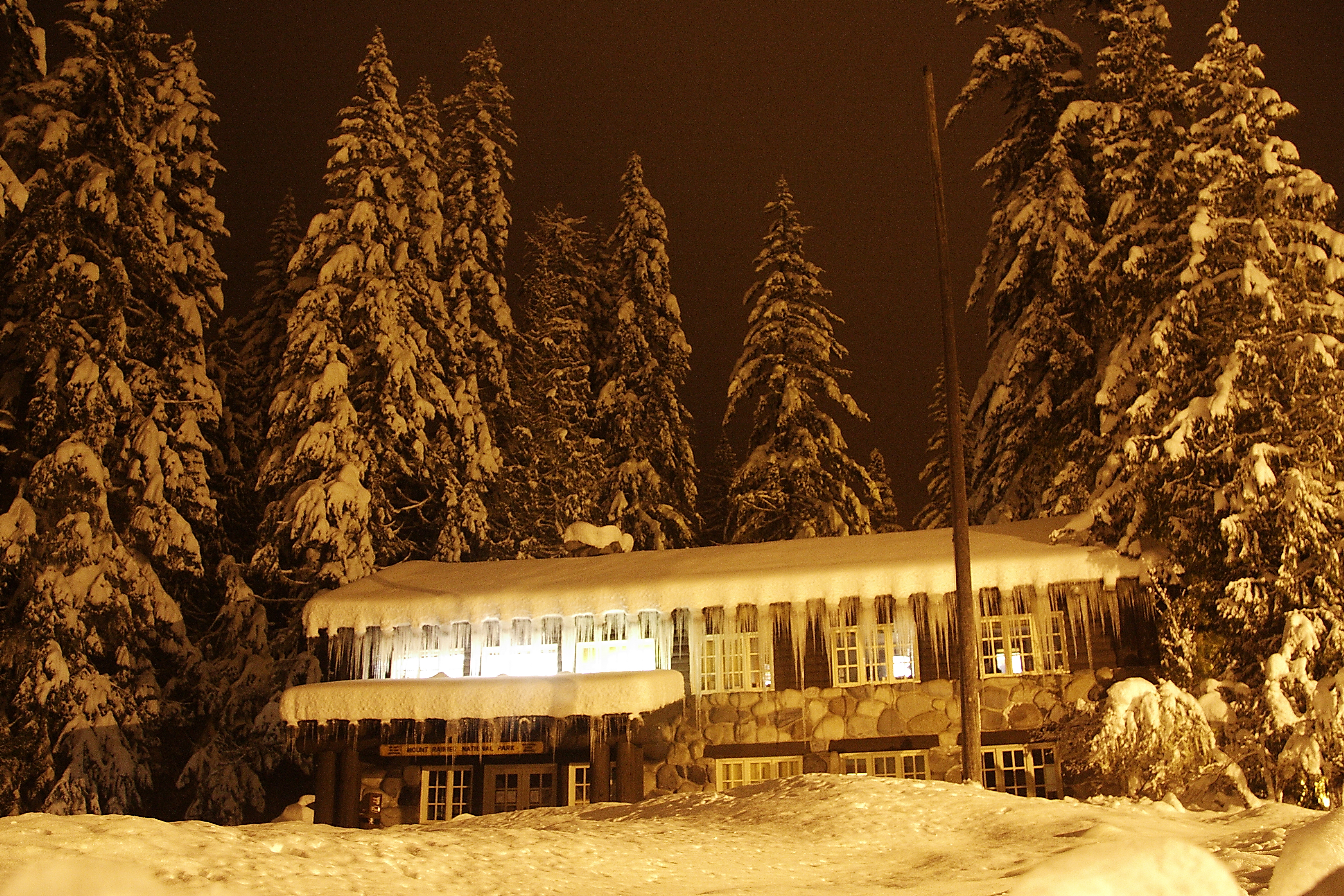 Longmire Mineral Springs