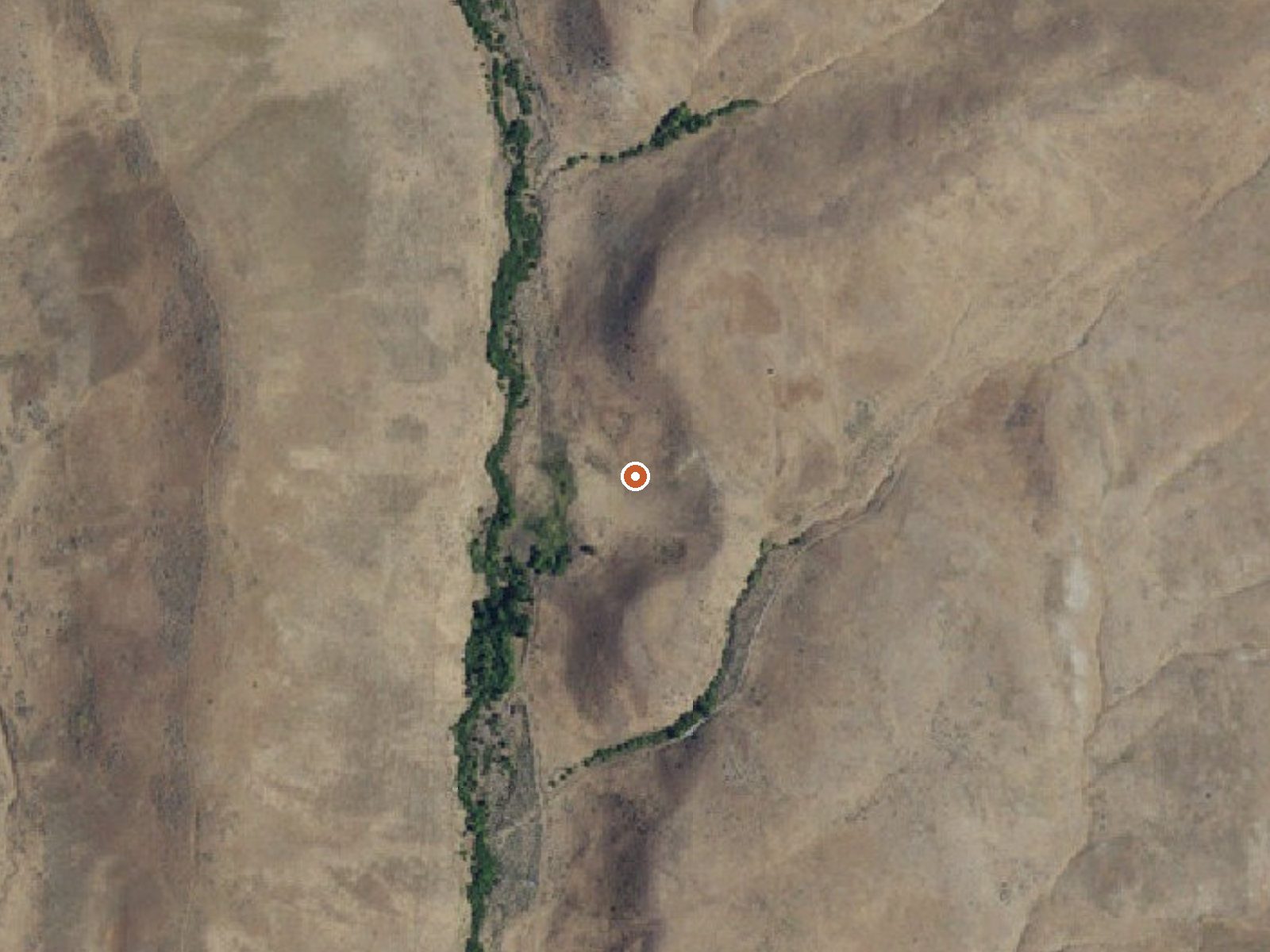 Aerial view of the ground around Old Homestead Warm Spring