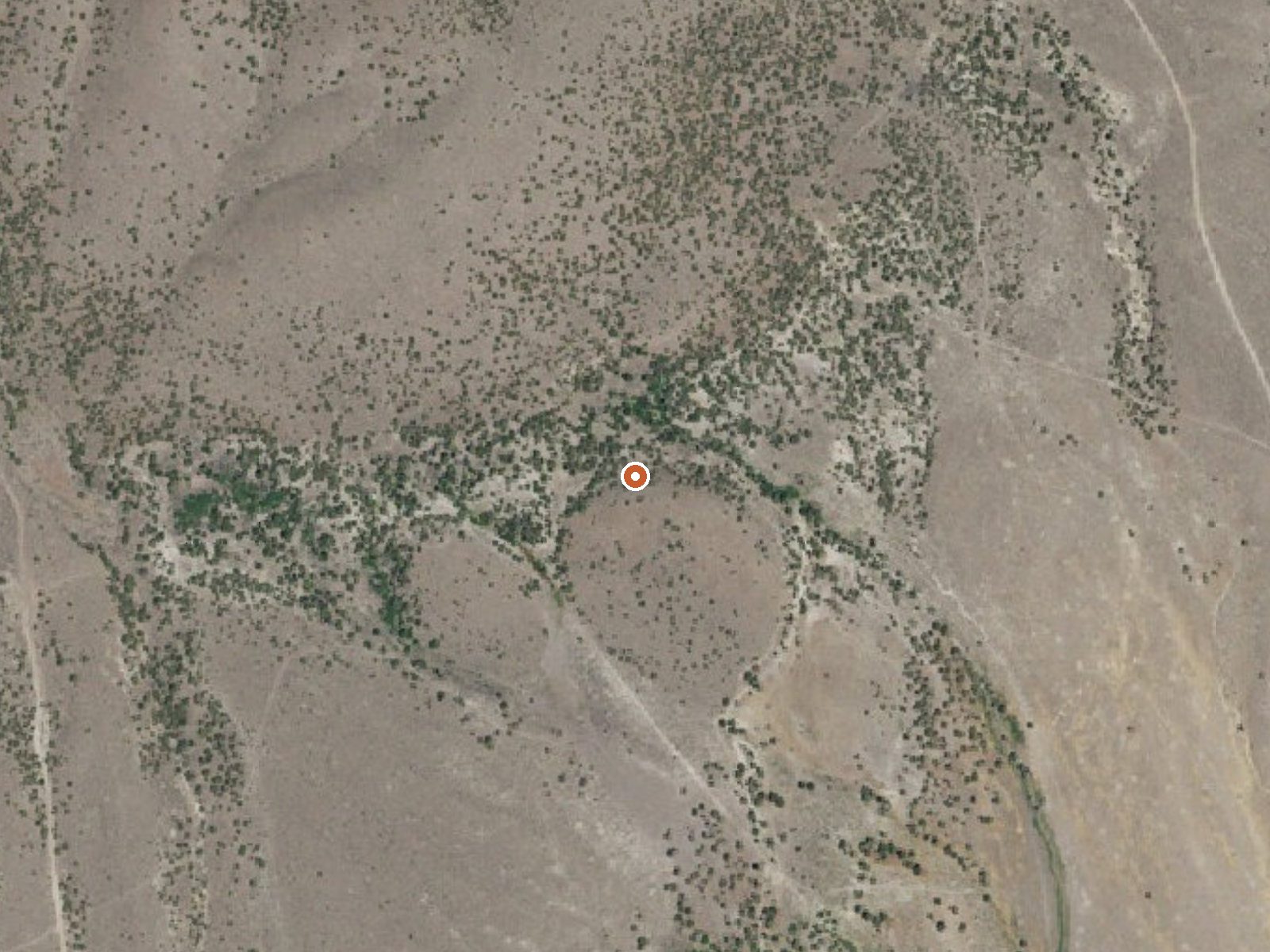 Aerial view of the ground around Rice Spring, Ward Spring