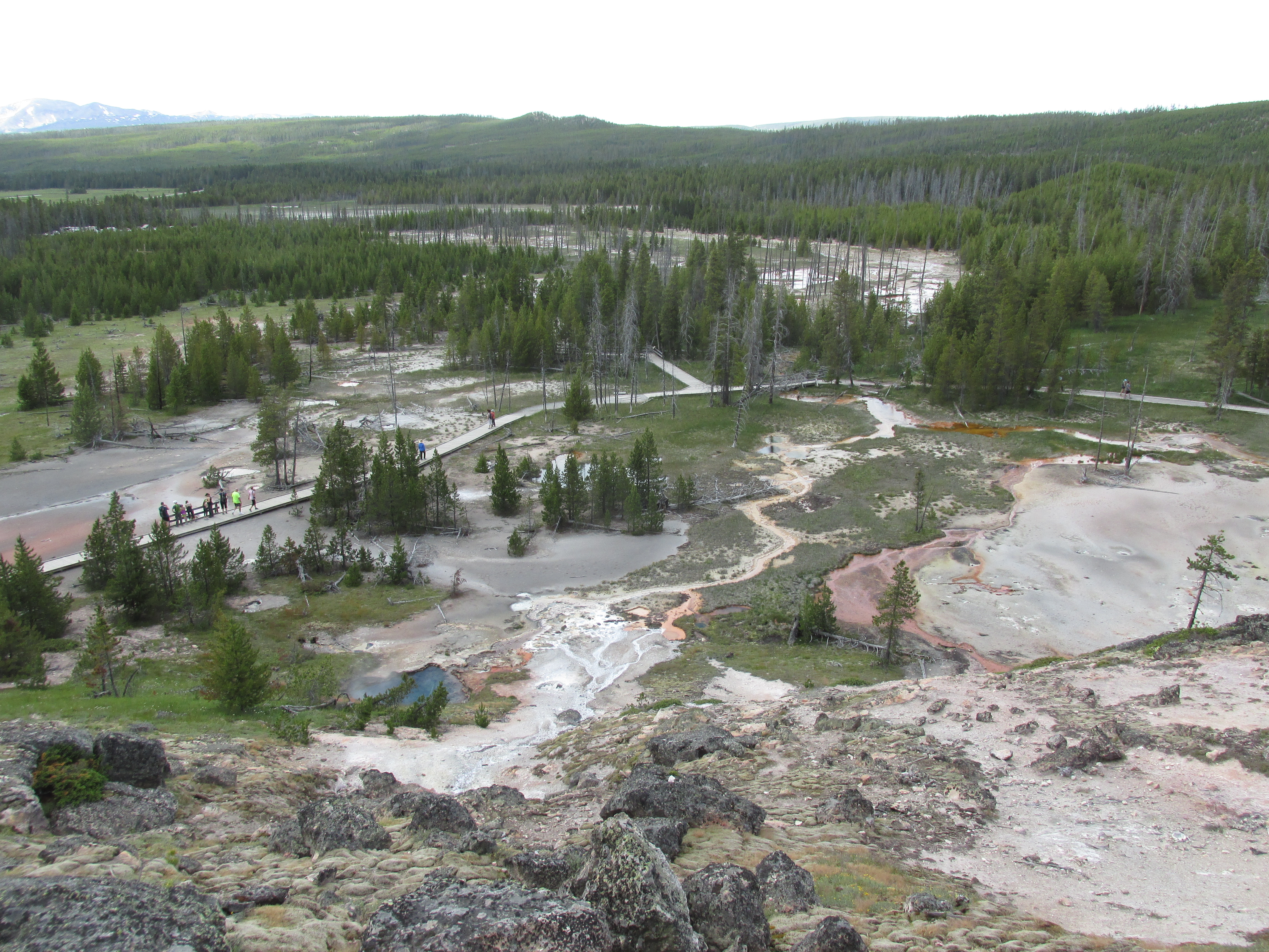 Geyser Springs Group