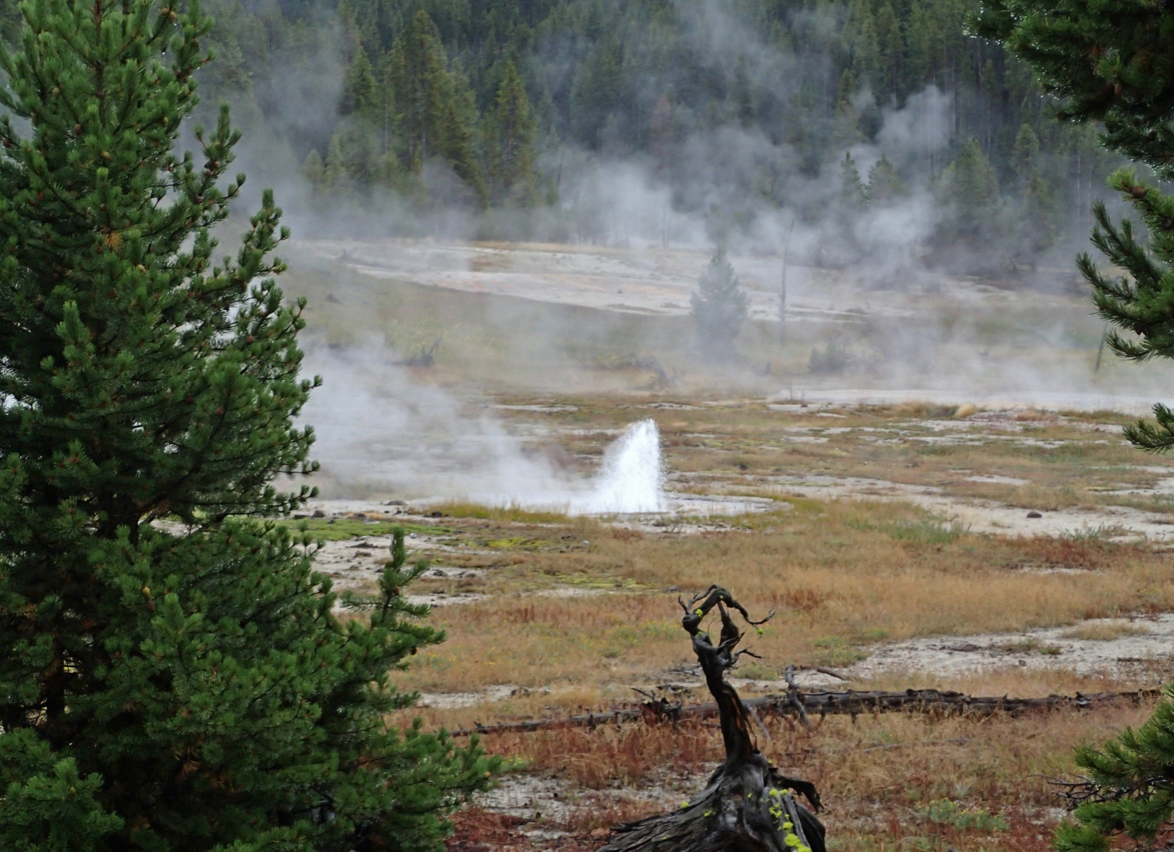 Five Sisters Springs