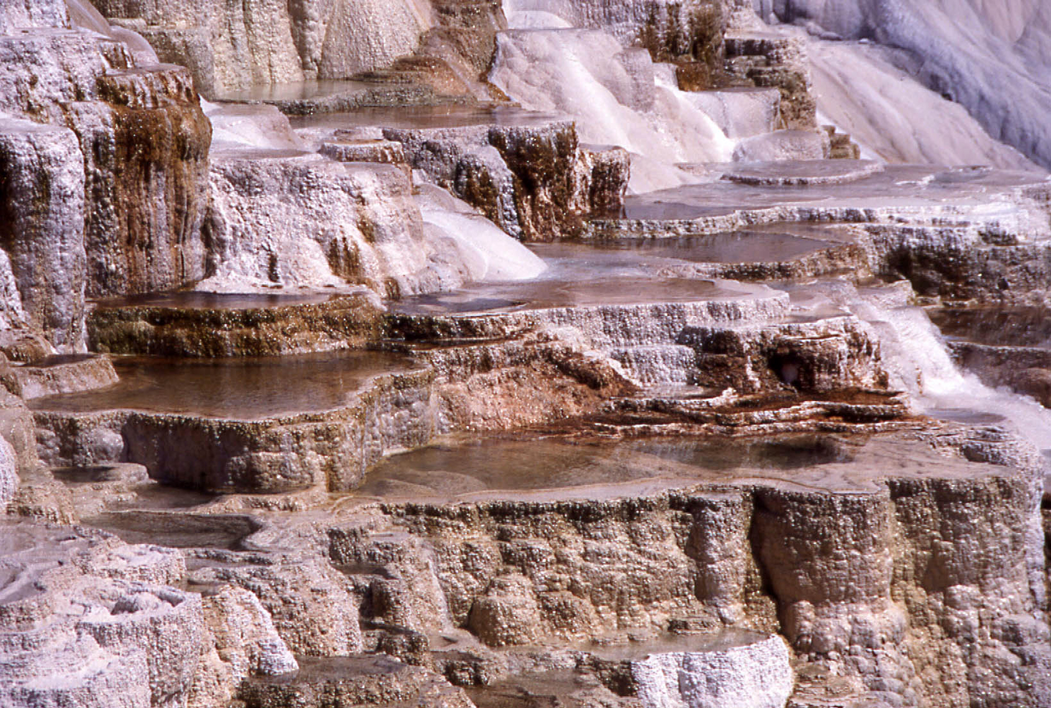 Mammoth Hot Springs