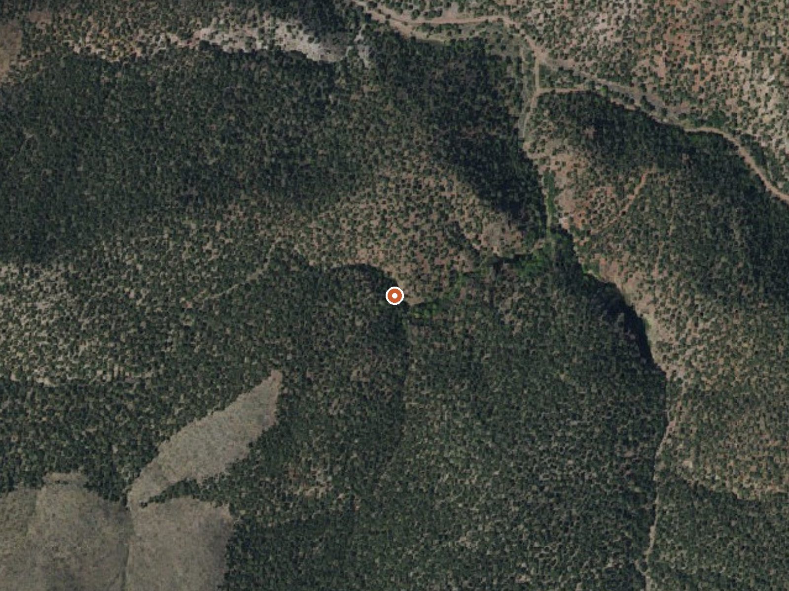 Aerial view of the ground around Big Maple Spring