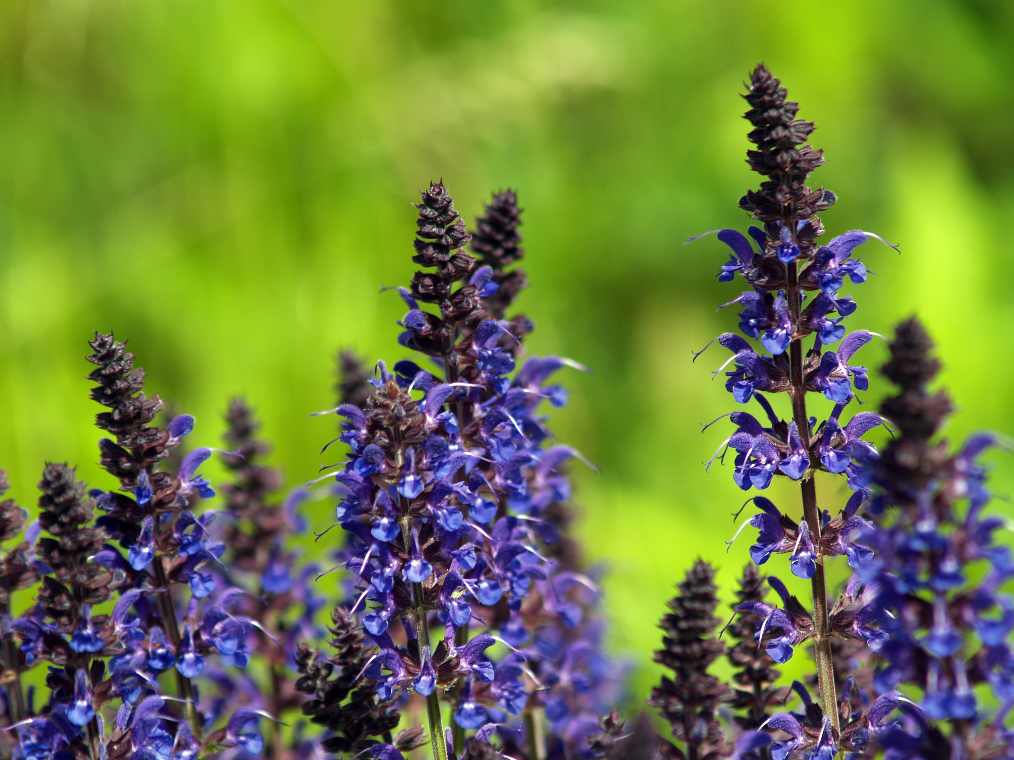 Thermopolis Hot Springs