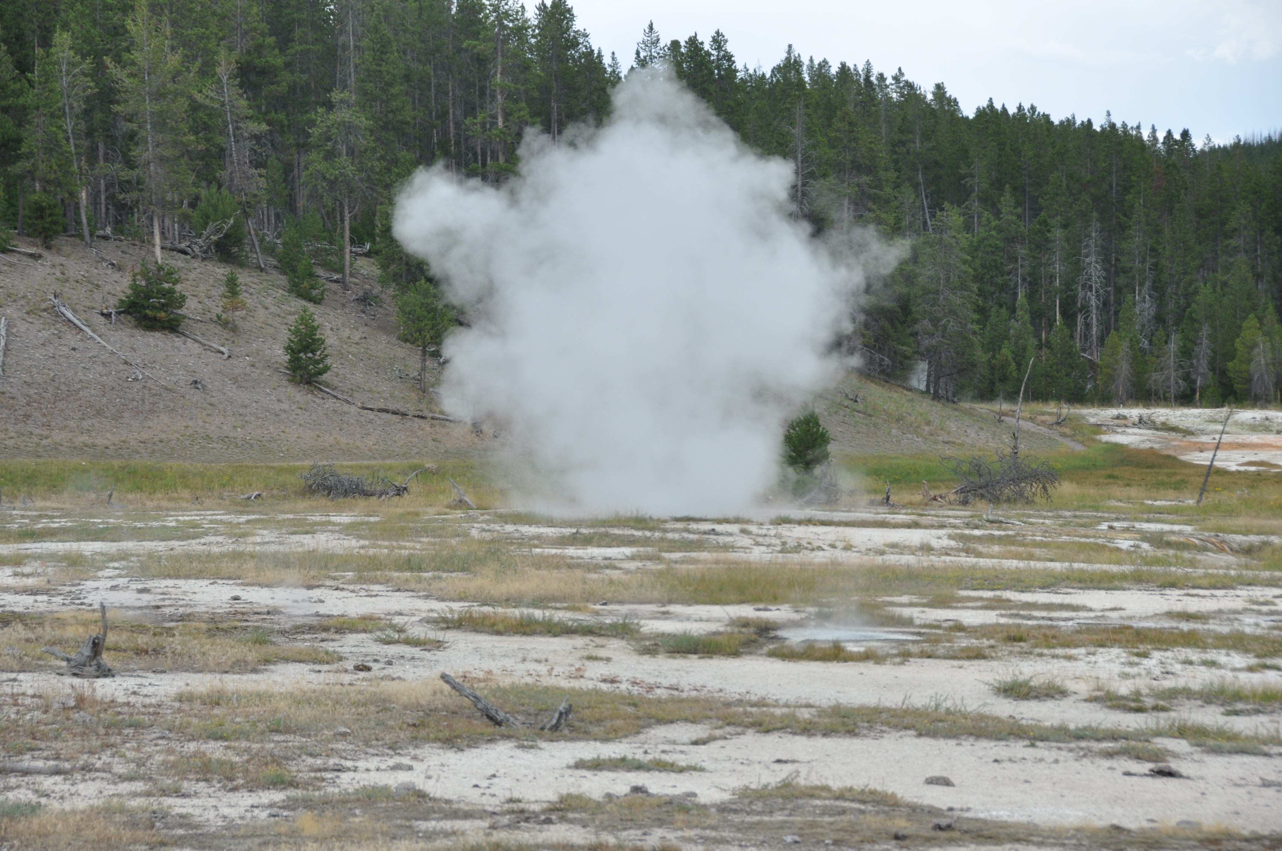 White Dome Geyser, Surprise Pool