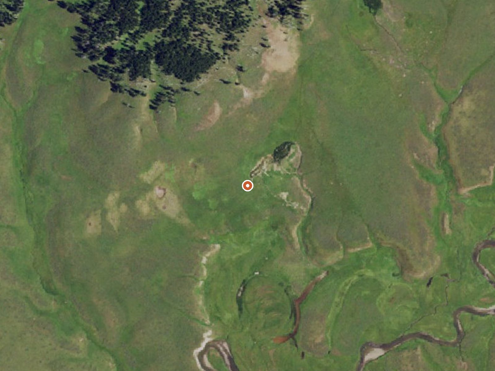 Aerial view of the ground around Hot Springs In Pelican Valley