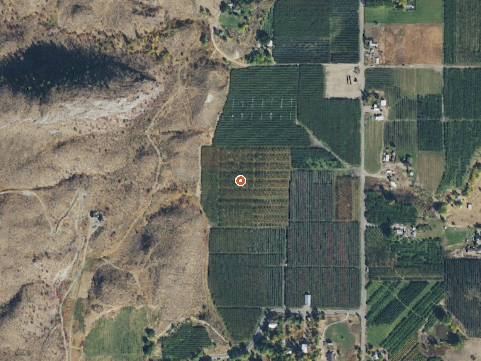 Aerial view of the ground around Poison Lake