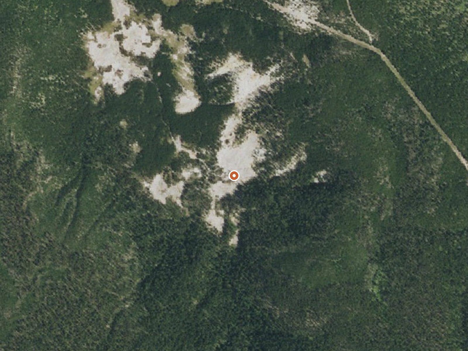 Aerial view of the ground around Amphitheater Springs