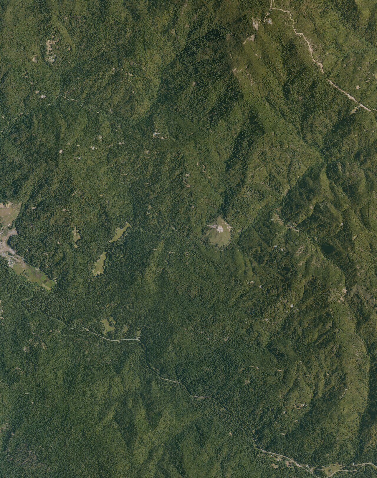 Jackson Valley Mud Springs