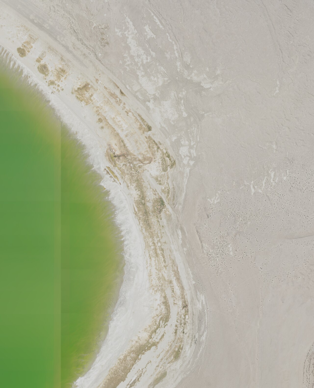 Mono Basin Warm Springs