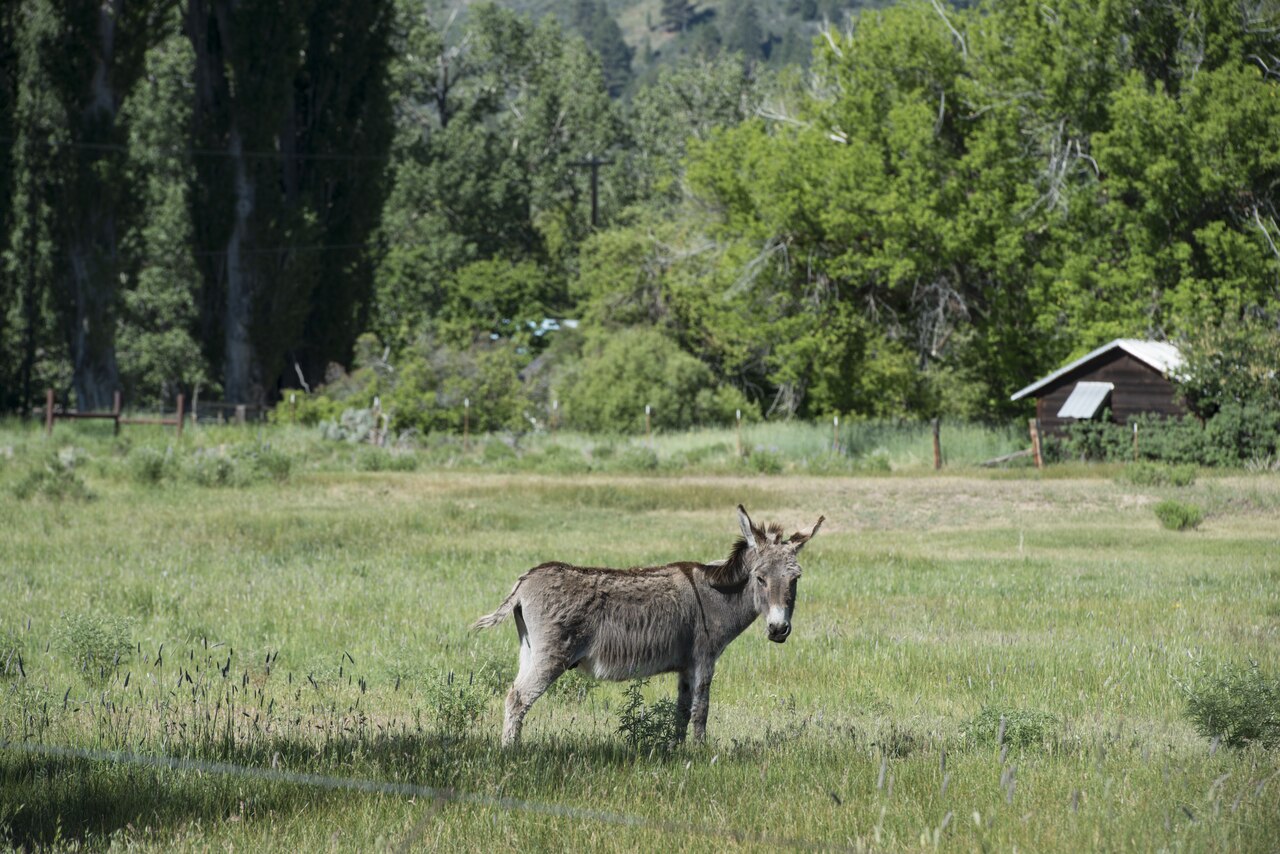Fort Bidwell Hot Spring
