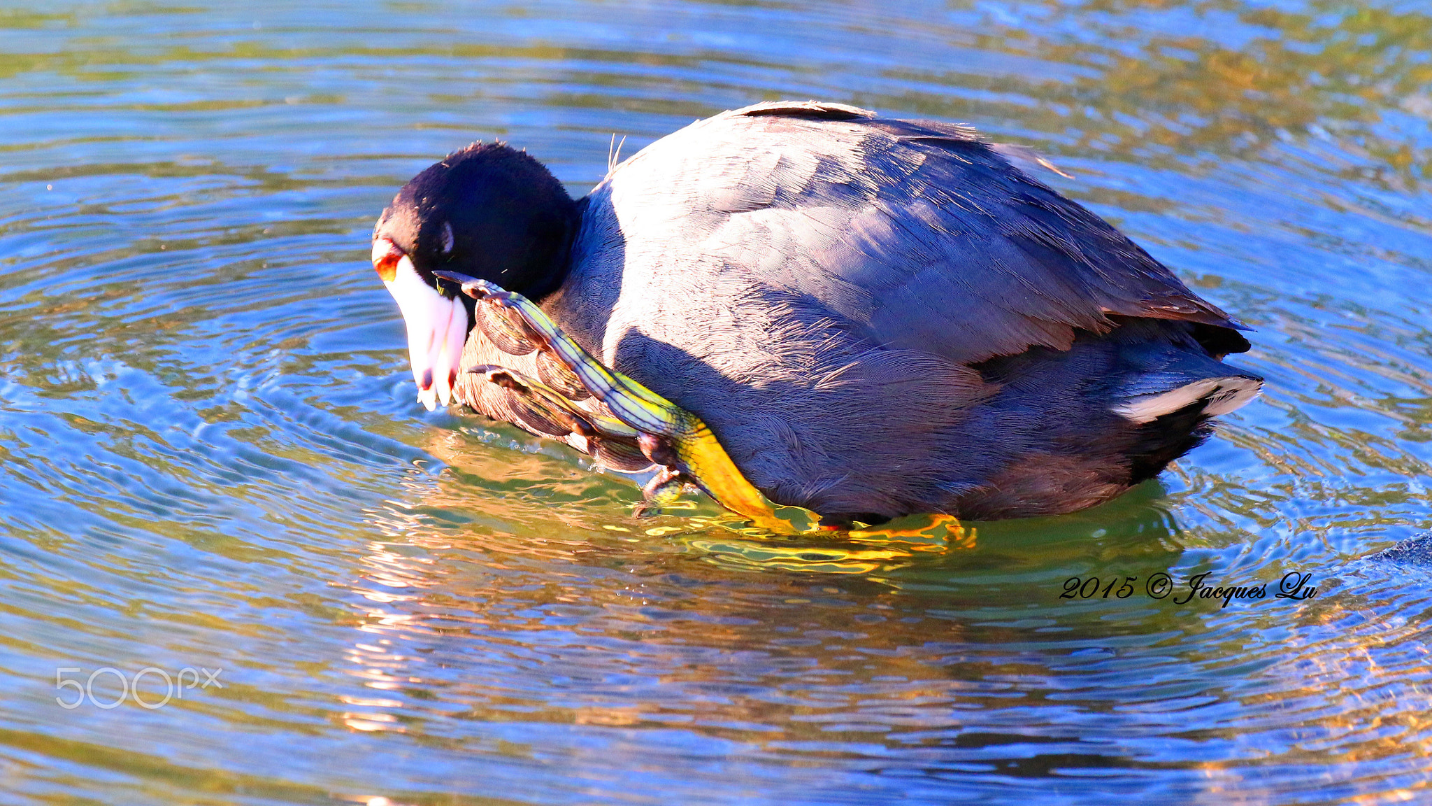 Temecula Hot Springs
