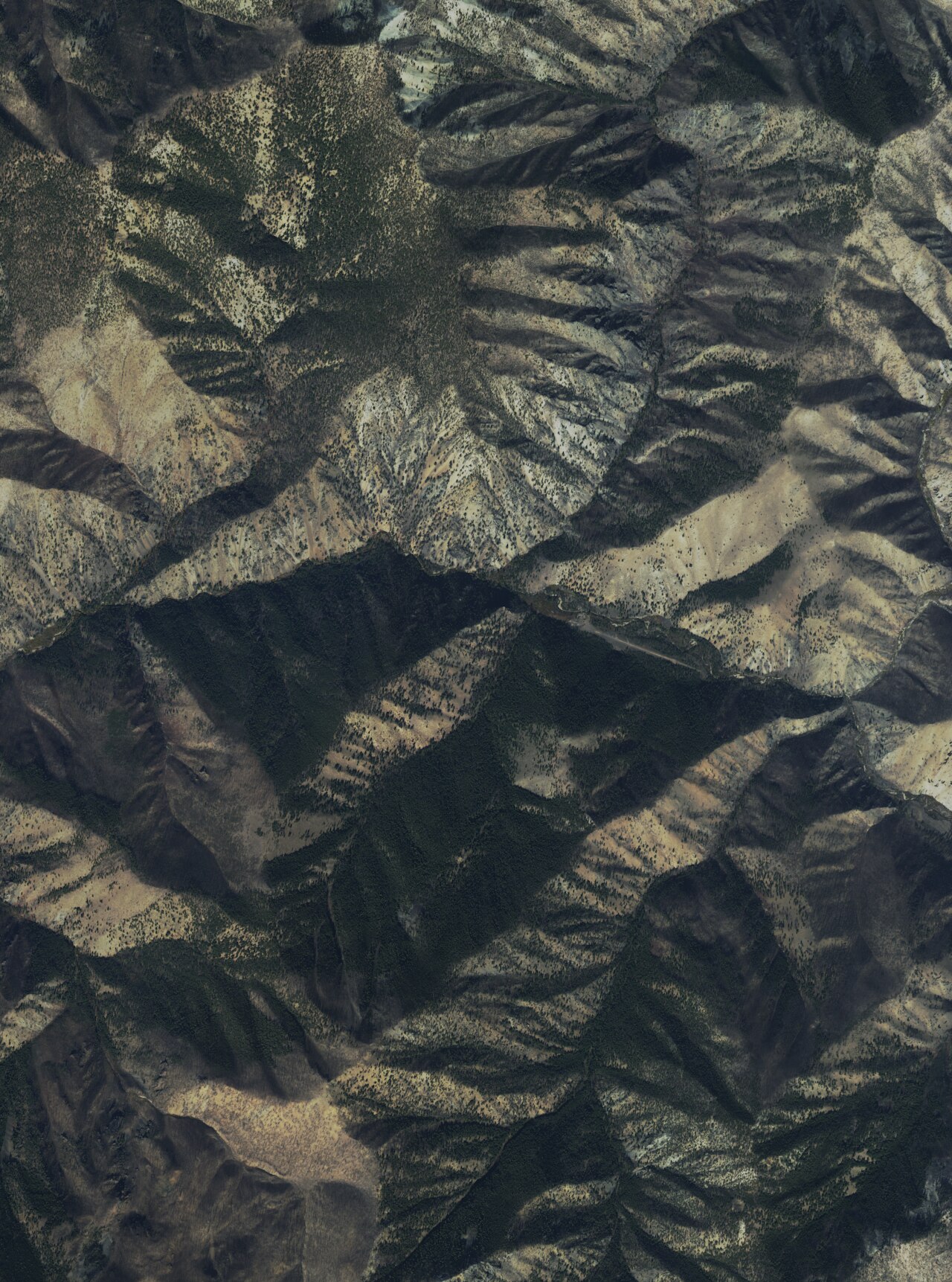 Foster Ranch Hot Springs