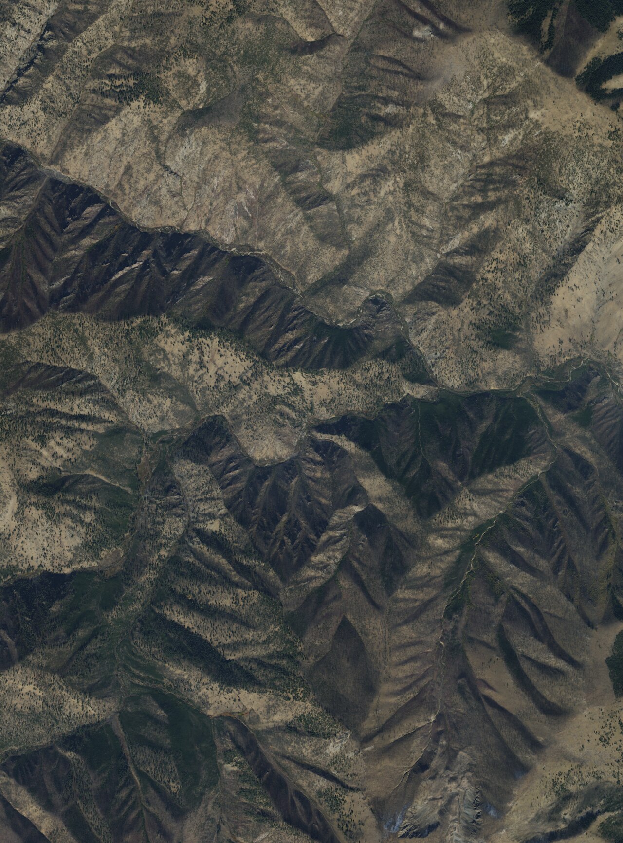 Pistol Creek Hot Springs