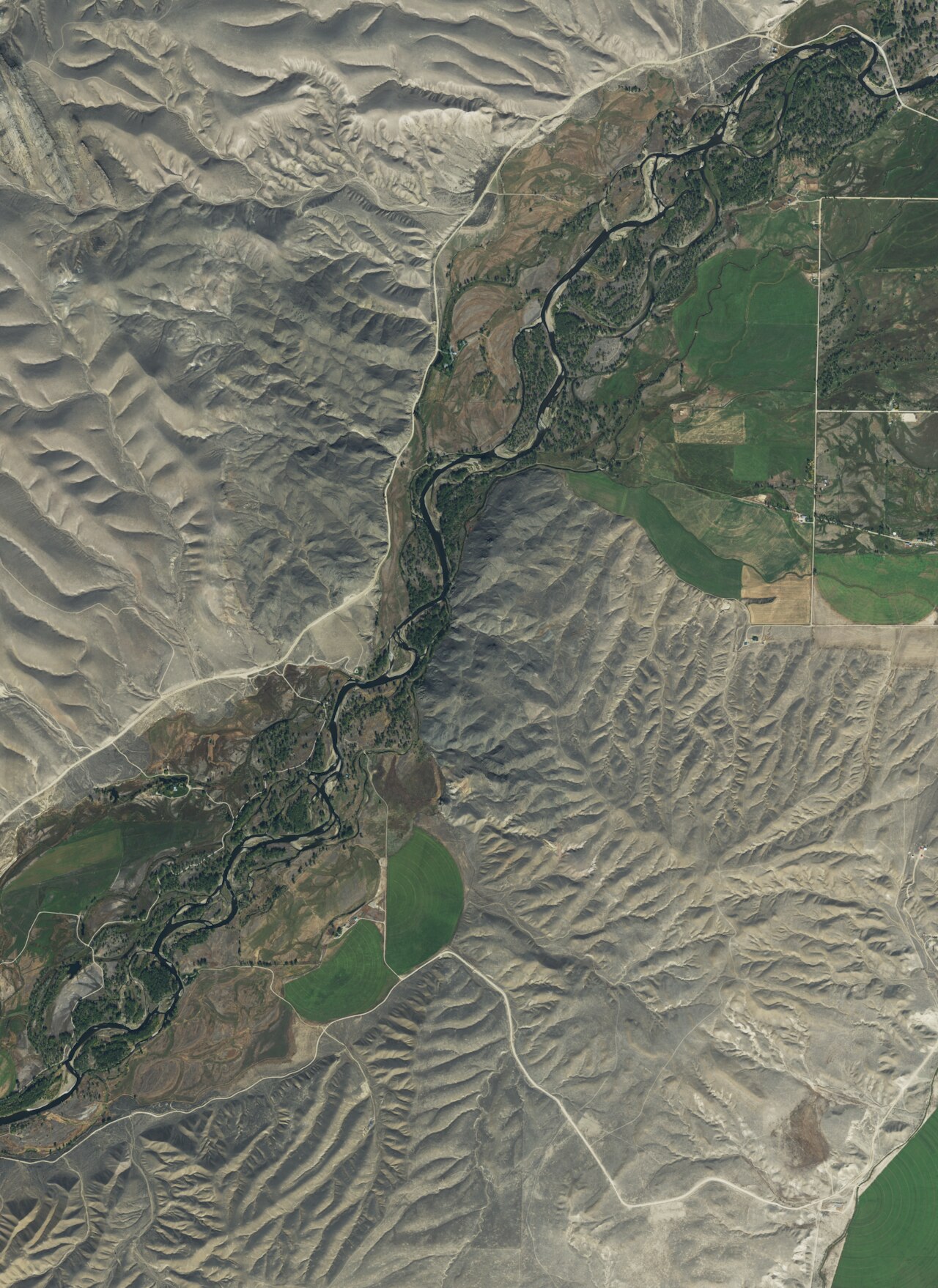 New Biltmore Hot Springs