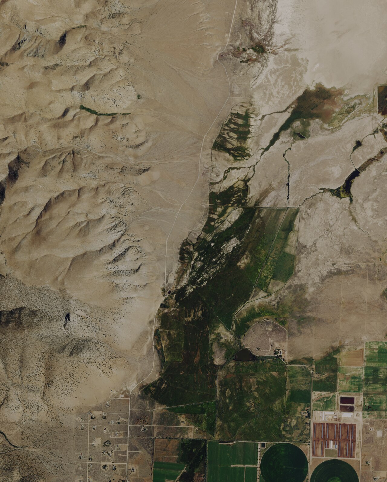 Nevada (Hinds) Hot Springs