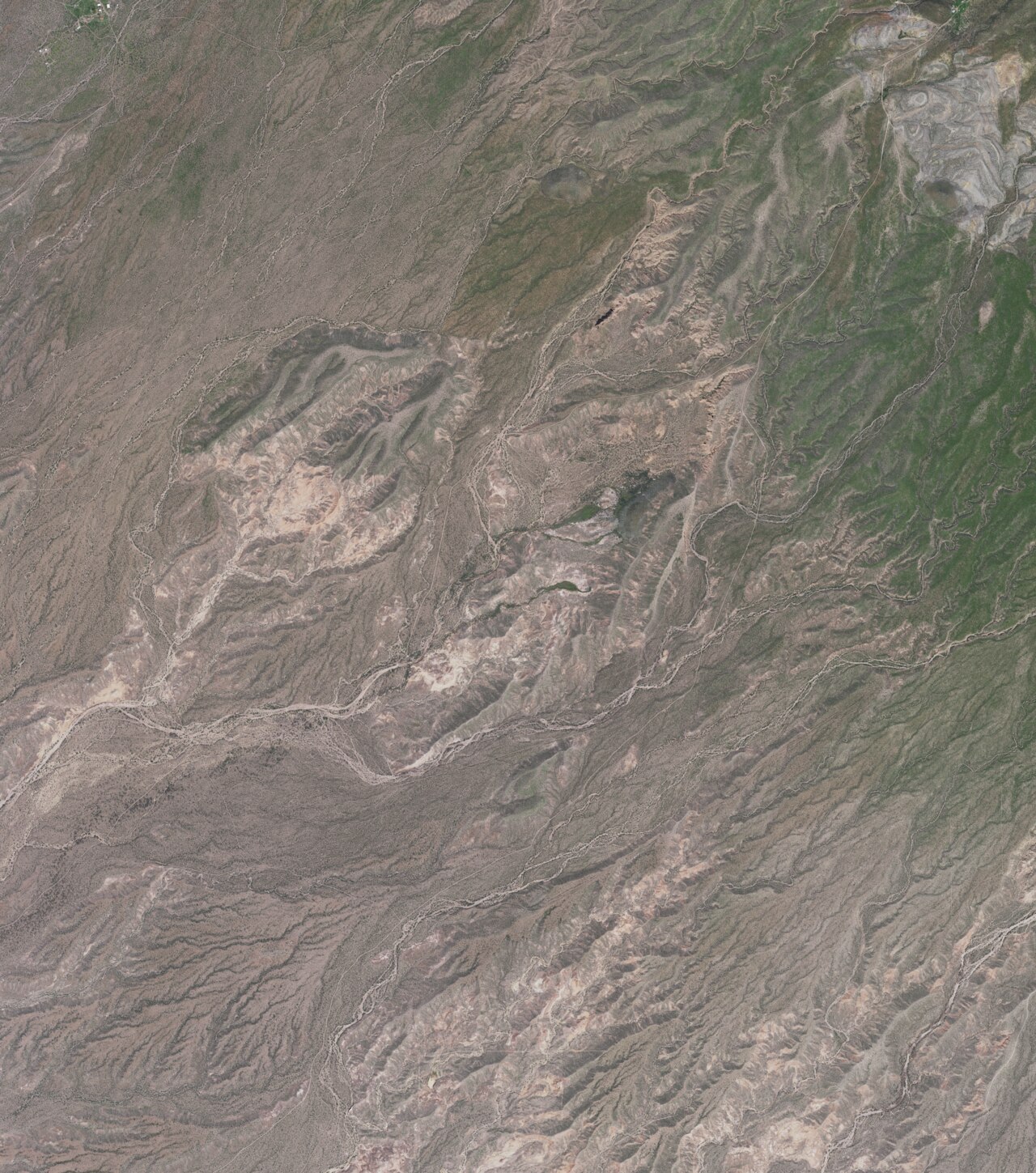 Springs (Las Cienegas)