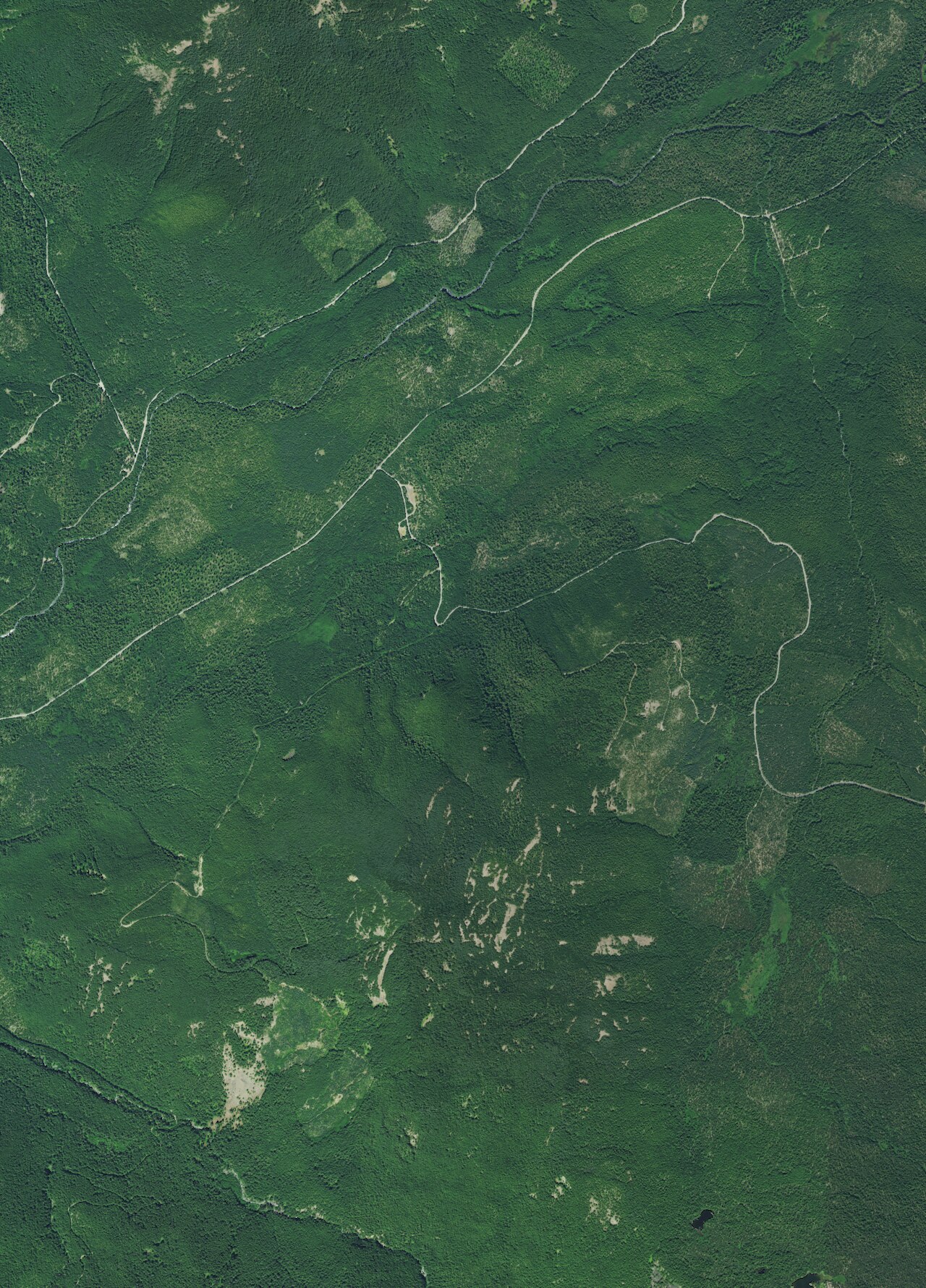 Orr Creek Warm Springs