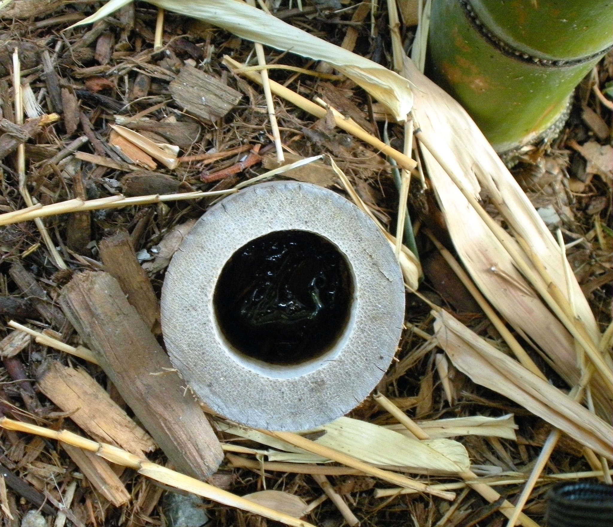Glen Ivy Hot Springs