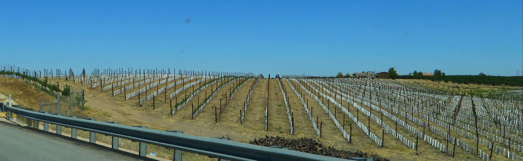 Paso Robles Hot Springs