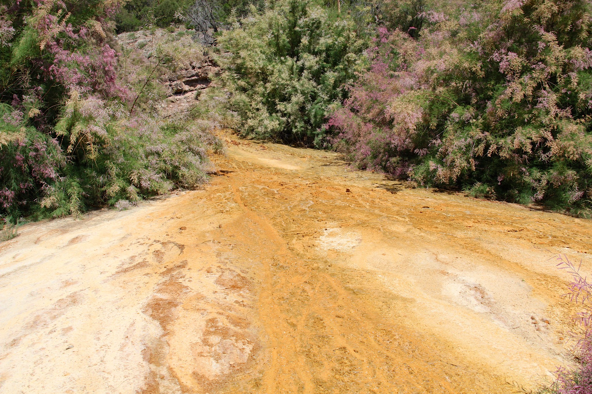 Pinkerton Hot Springs