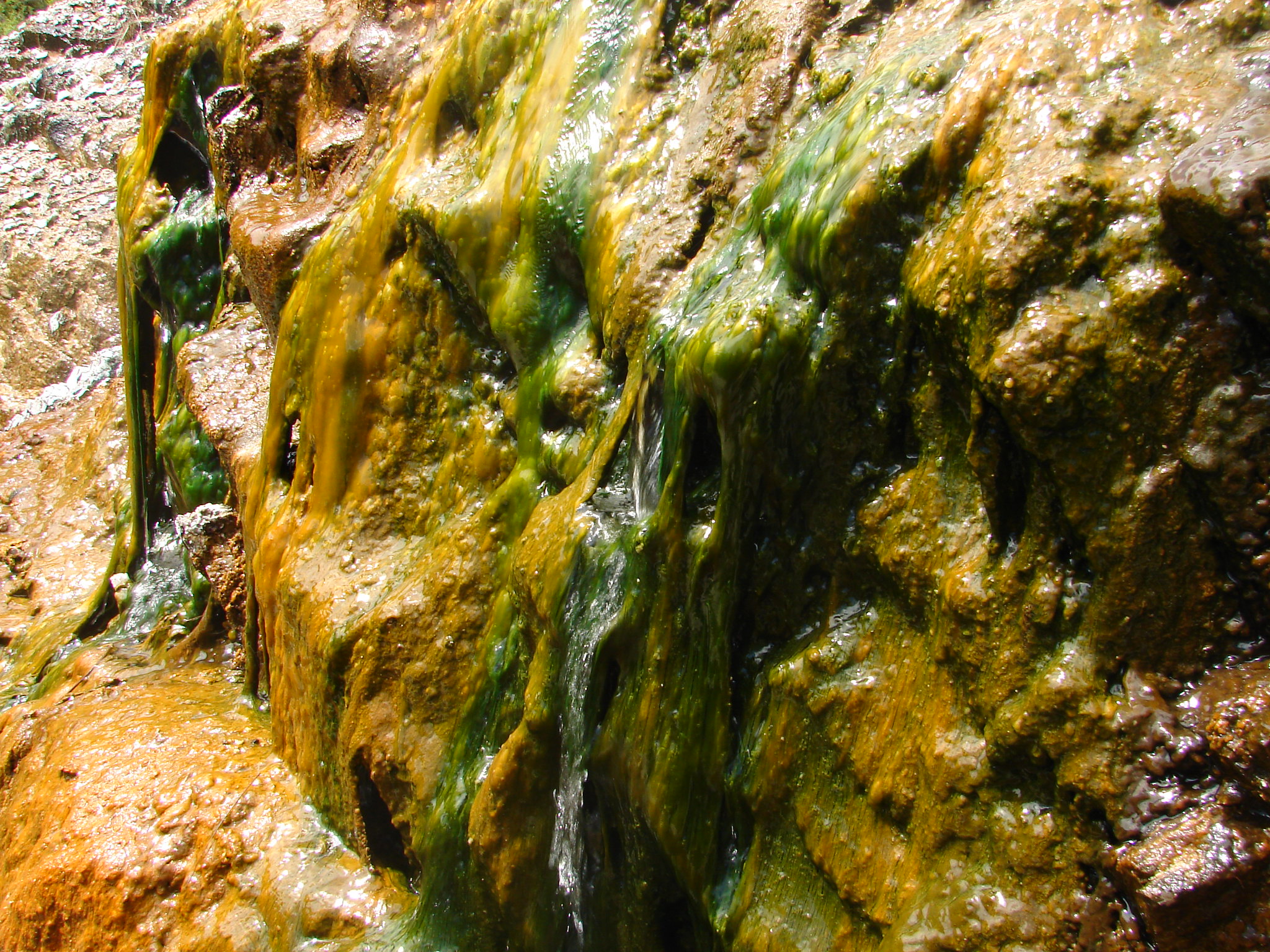 Pine Flat Hot Springs