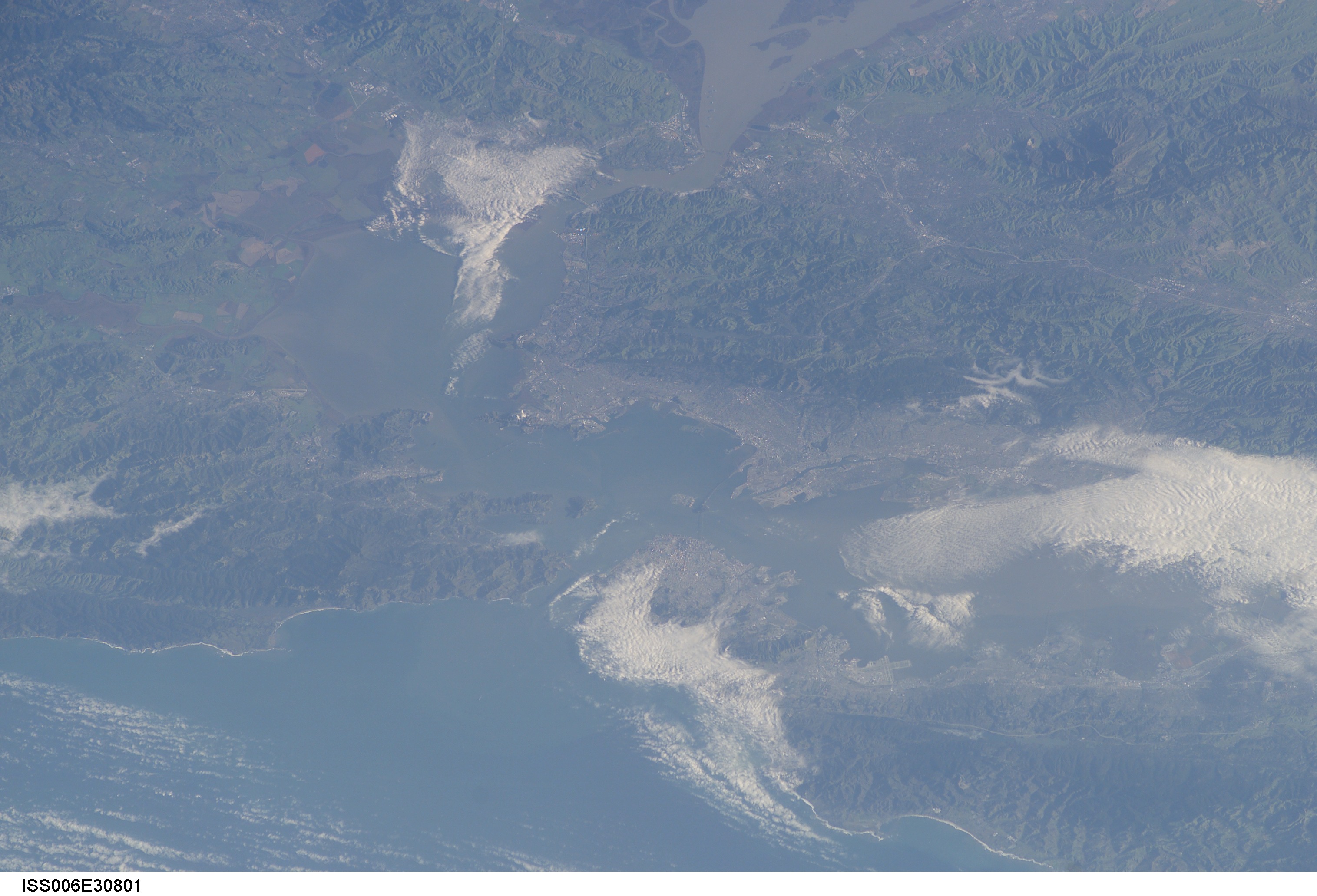 Pseudo Complexion Spring