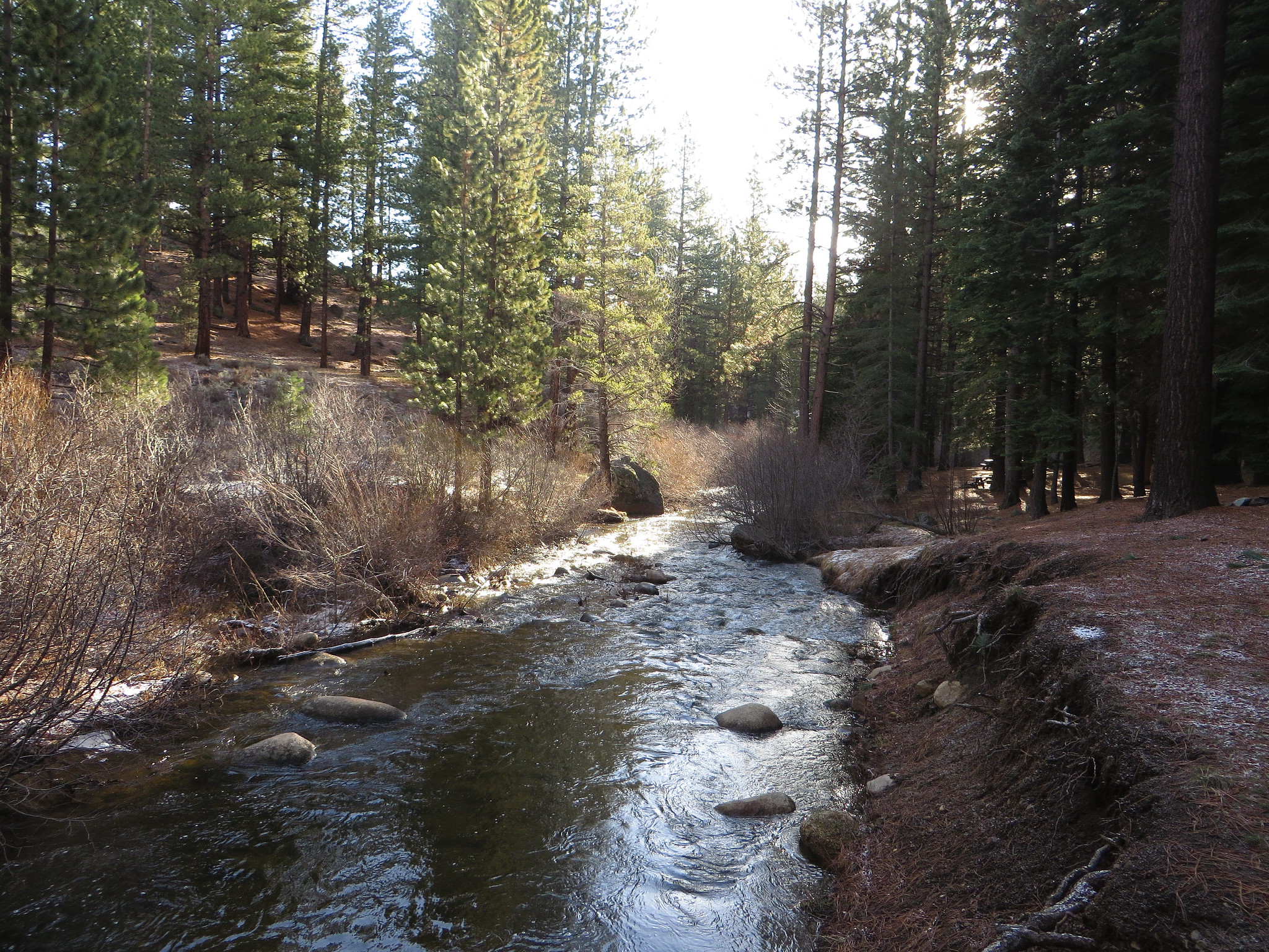 Grover Hot Springs State Park
